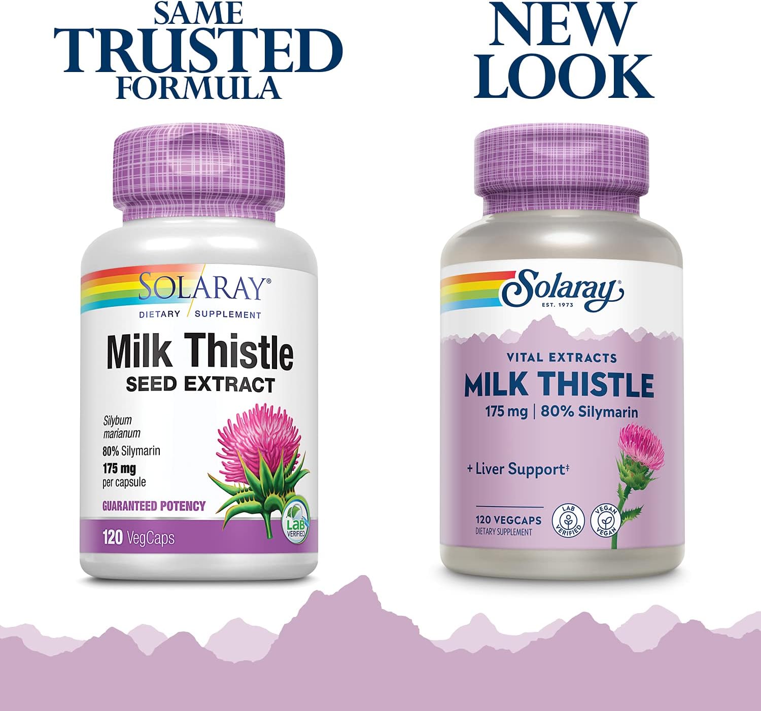 SOLARAY Milk Thistle Seed Extract Capsules - 175mg Antioxidant for Liver Support - Non-GMO & Vegan - 120 Count