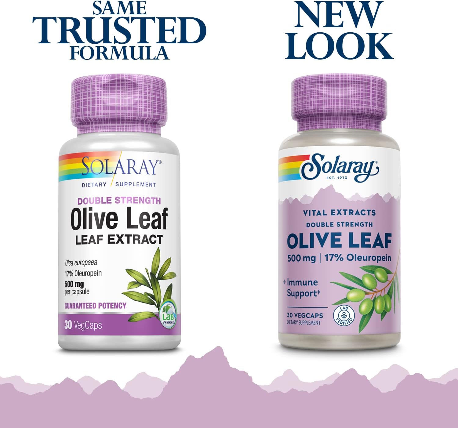 Solaray Olive Leaf Extract 500mg Double Strength Veg Capsules - 30 Count Bottle - Guaranteed Potency - Plastic Bottle