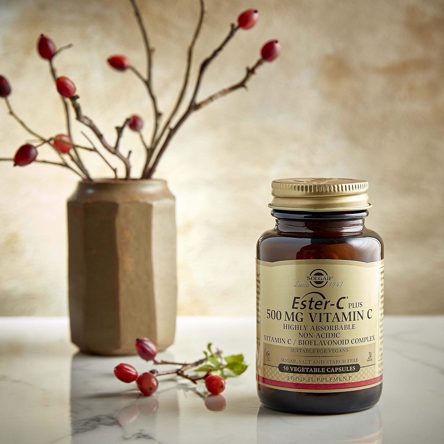 Solgar Ester-C Plus 500mg Vitamin C Capsules - Antioxidant & Immune Support - Non-Acidic Formula - 50 Servings - Non-GMO, Vegan, Gluten-Free, Kosher