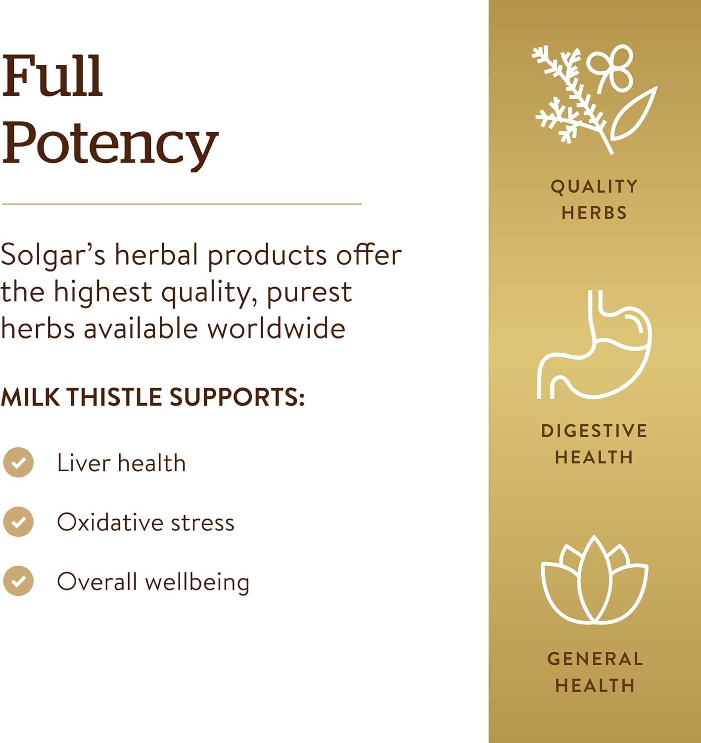 Solgar Milk Thistle Capsules - Liver Support with Full Potency - Non-GMO, Vegan, Gluten Free, Dairy Free - 100 Servings