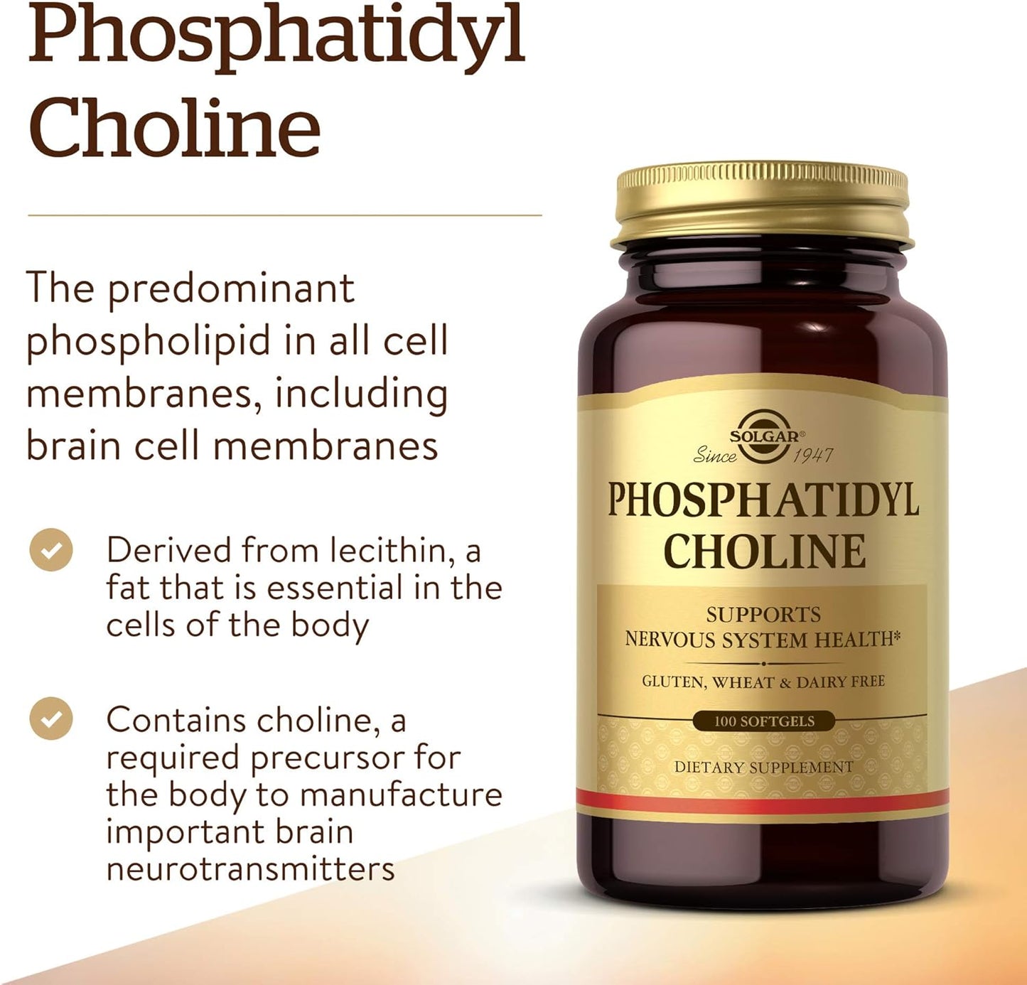 Solgar Phosphatidylcholine Softgels - Supports Cognitive Health with Choline - Gluten & Dairy Free - 100 Softgels