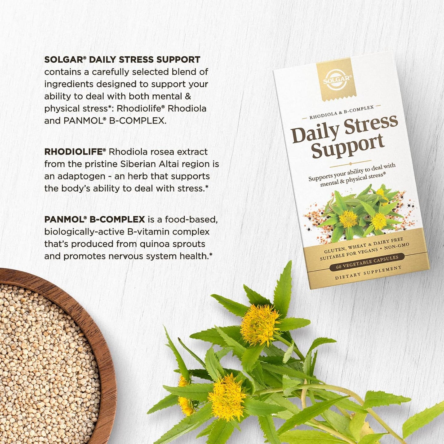 Solgar Stress Support Capsules with Rhodiola & B-Complex for Mental Fatigue - 60 Servings, Non-GMO