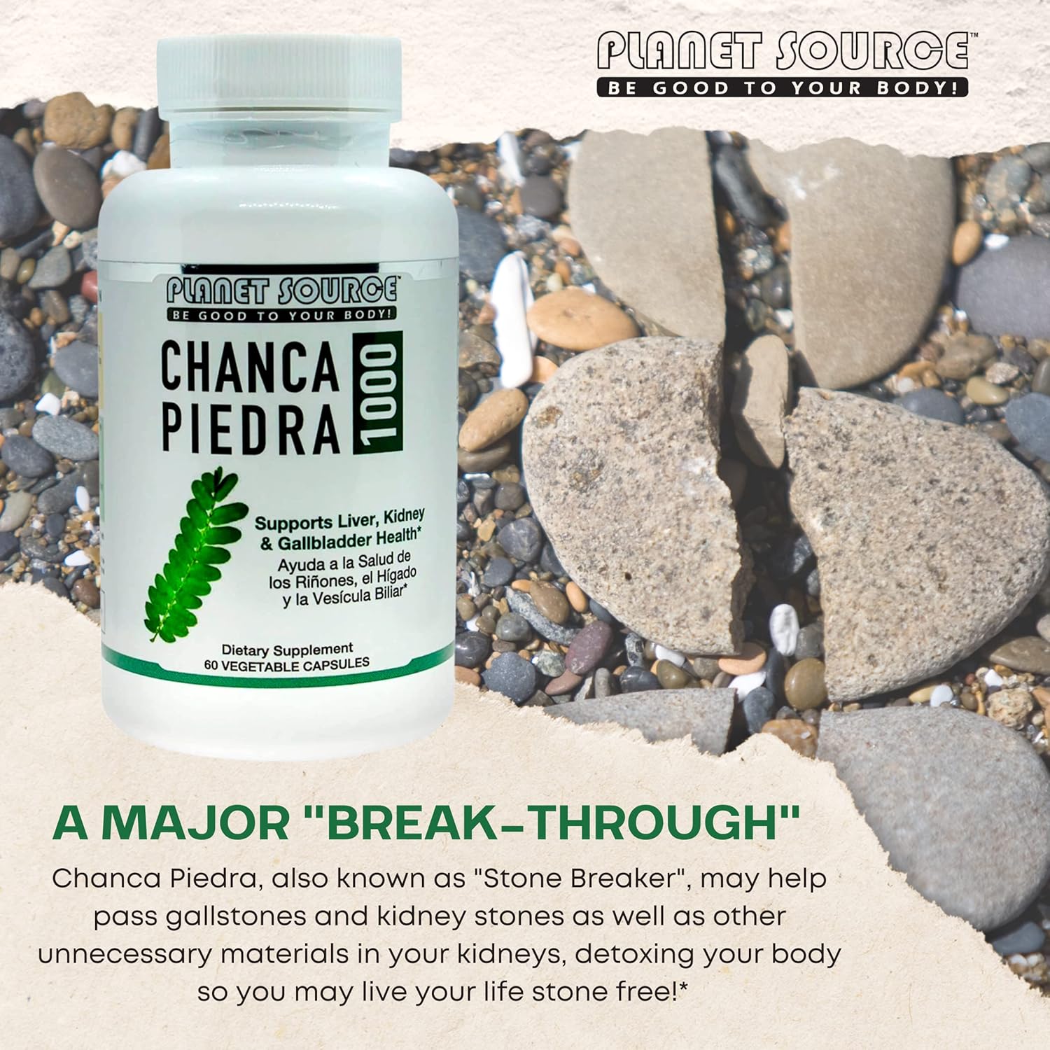 South American Chanca Piedra 1000 Stone Breaker Capsules for Kidney, Liver, and Gallbladder Cleanse - Urinary Tract Health Support - 60 Veg Capsules