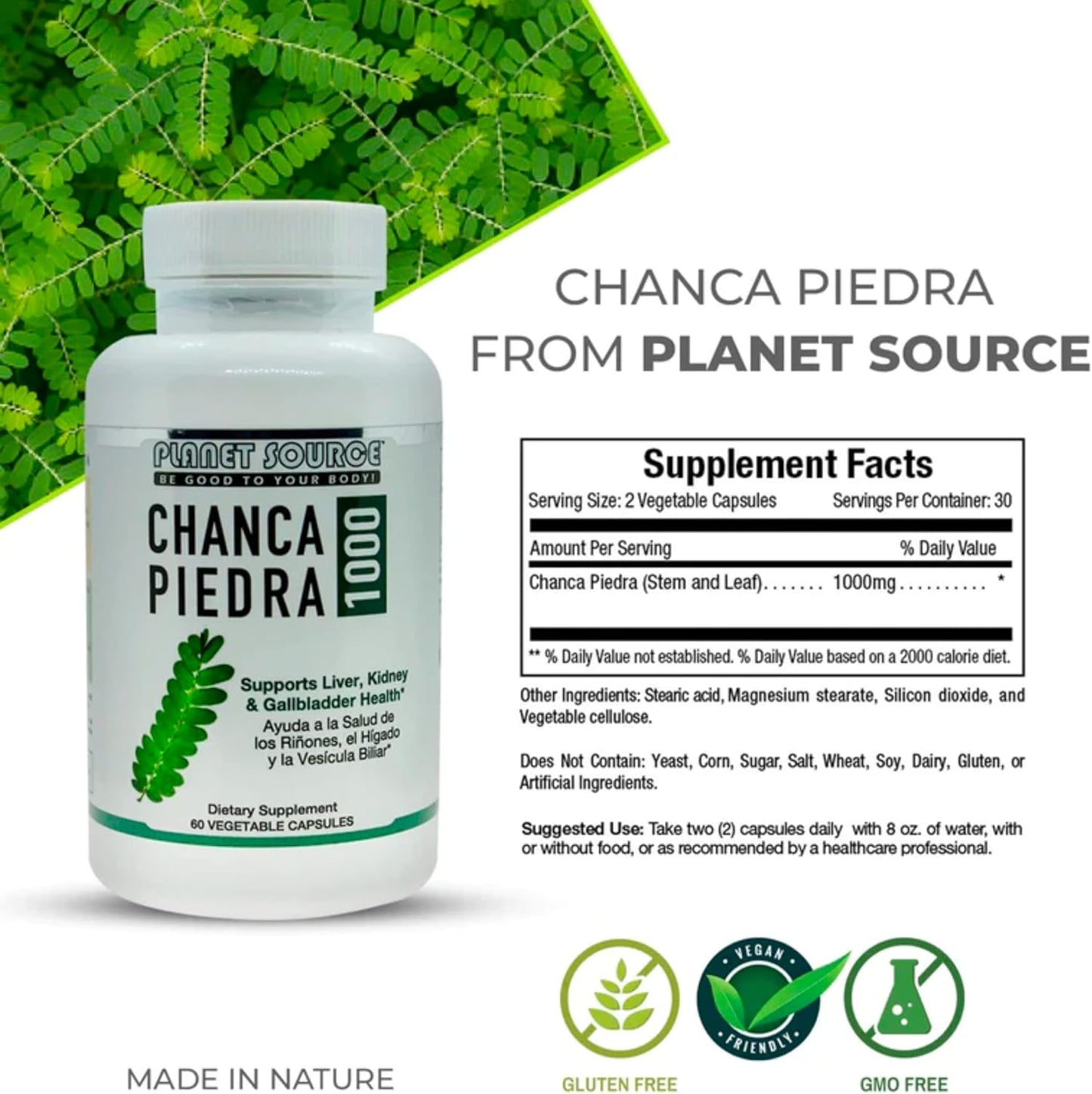 South American Chanca Piedra 1000 Stone Breaker Capsules for Kidney, Liver, and Gallbladder Cleanse - Urinary Tract Health Support - 60 Veg Capsules
