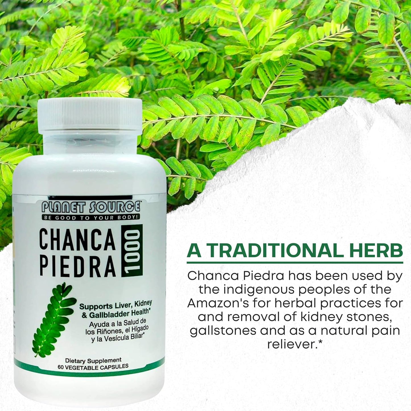 South American Chanca Piedra 1000 Stone Breaker Capsules for Kidney, Liver, and Gallbladder Cleanse - Urinary Tract Health Support - 60 Veg Capsules