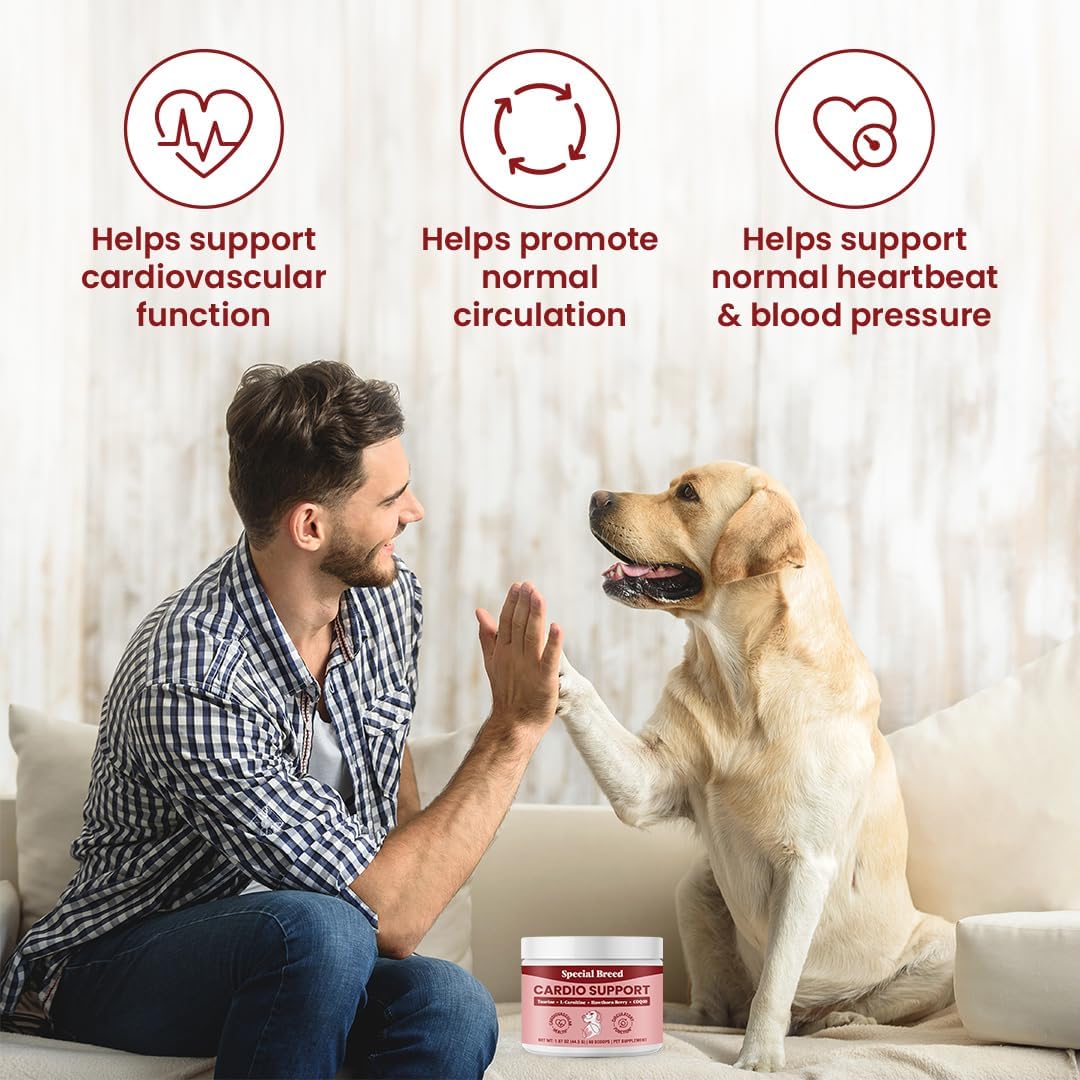 Special Breed Dog Cardio Support Powder Supplement - Heart Health with Taurine, CoQ10, Hawthorne Berry - 60 Scoops