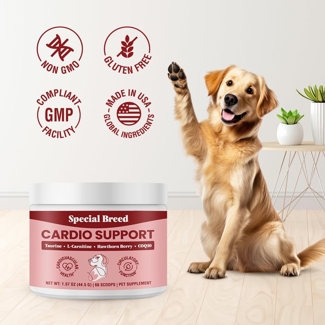Special Breed Dog Cardio Support Powder Supplement - Heart Health with Taurine, CoQ10, Hawthorne Berry - 60 Scoops