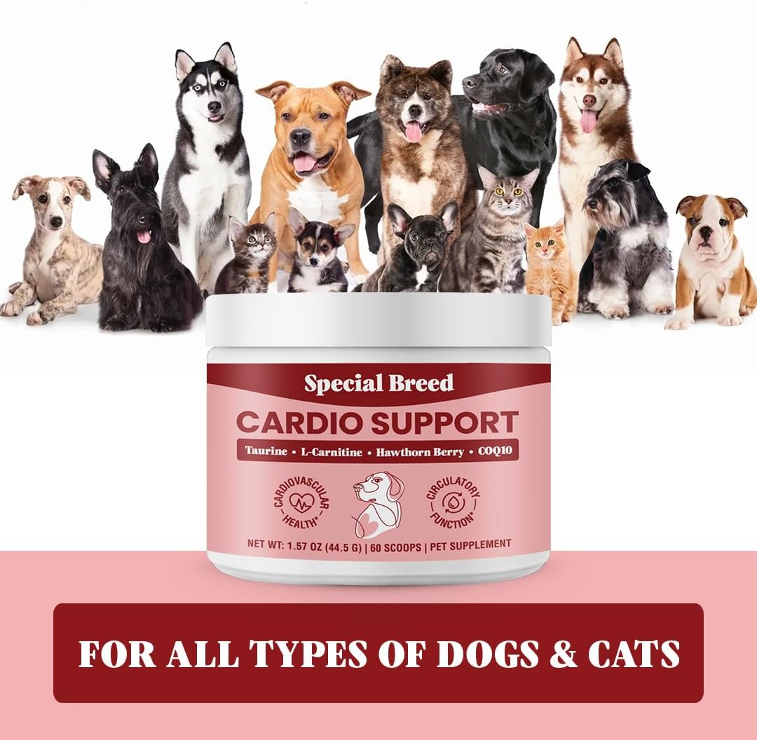 Special Breed Dog Cardio Support Powder Supplement - Heart Health with Taurine, CoQ10, Hawthorne Berry - 60 Scoops