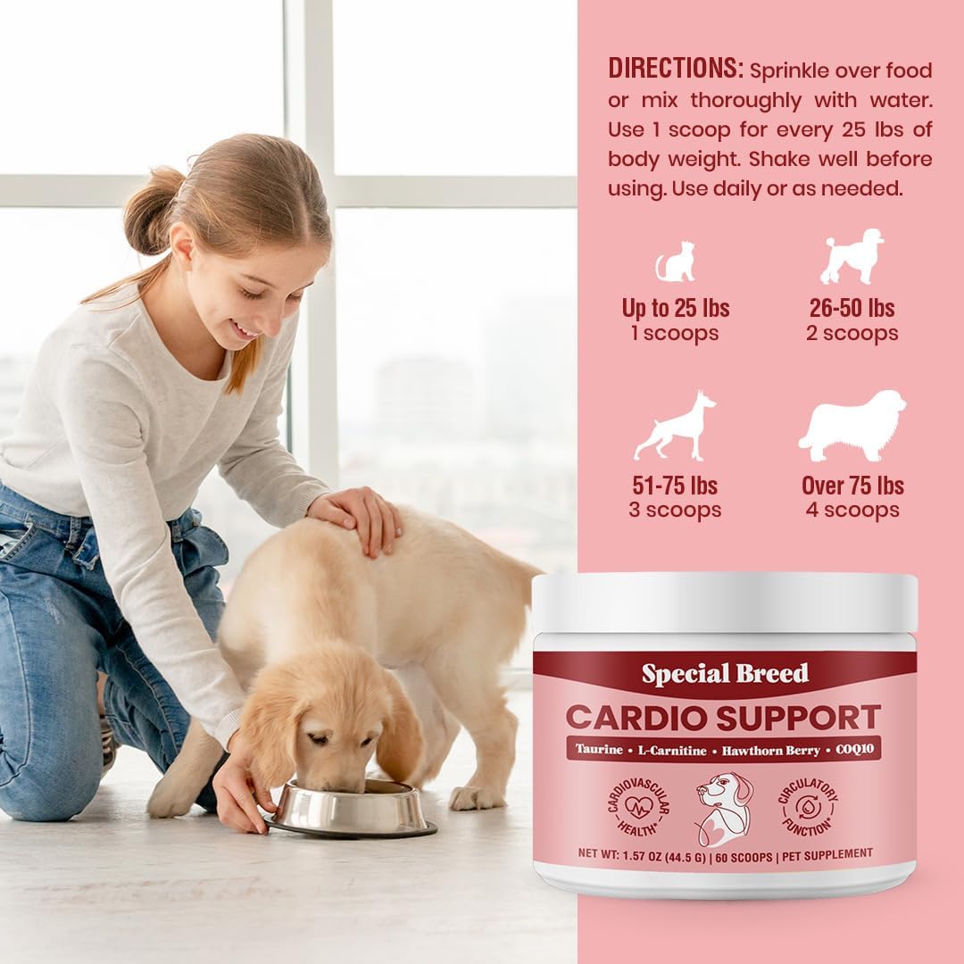 Special Breed Dog Cardio Support Powder Supplement - Heart Health with Taurine, CoQ10, Hawthorne Berry - 60 Scoops