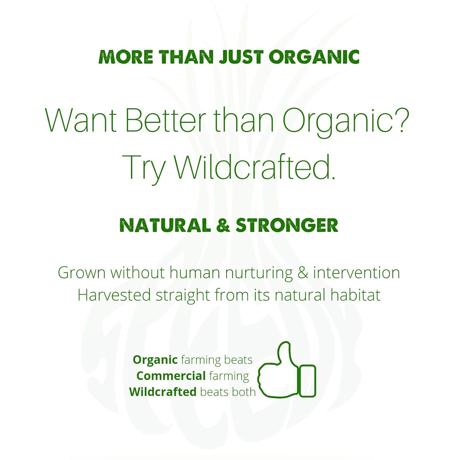 Speedyvite Tea Total Detox & Cleanse Combo: Herbal Blood, Kidney, and Liver Cleanse Tea Kit 12oz