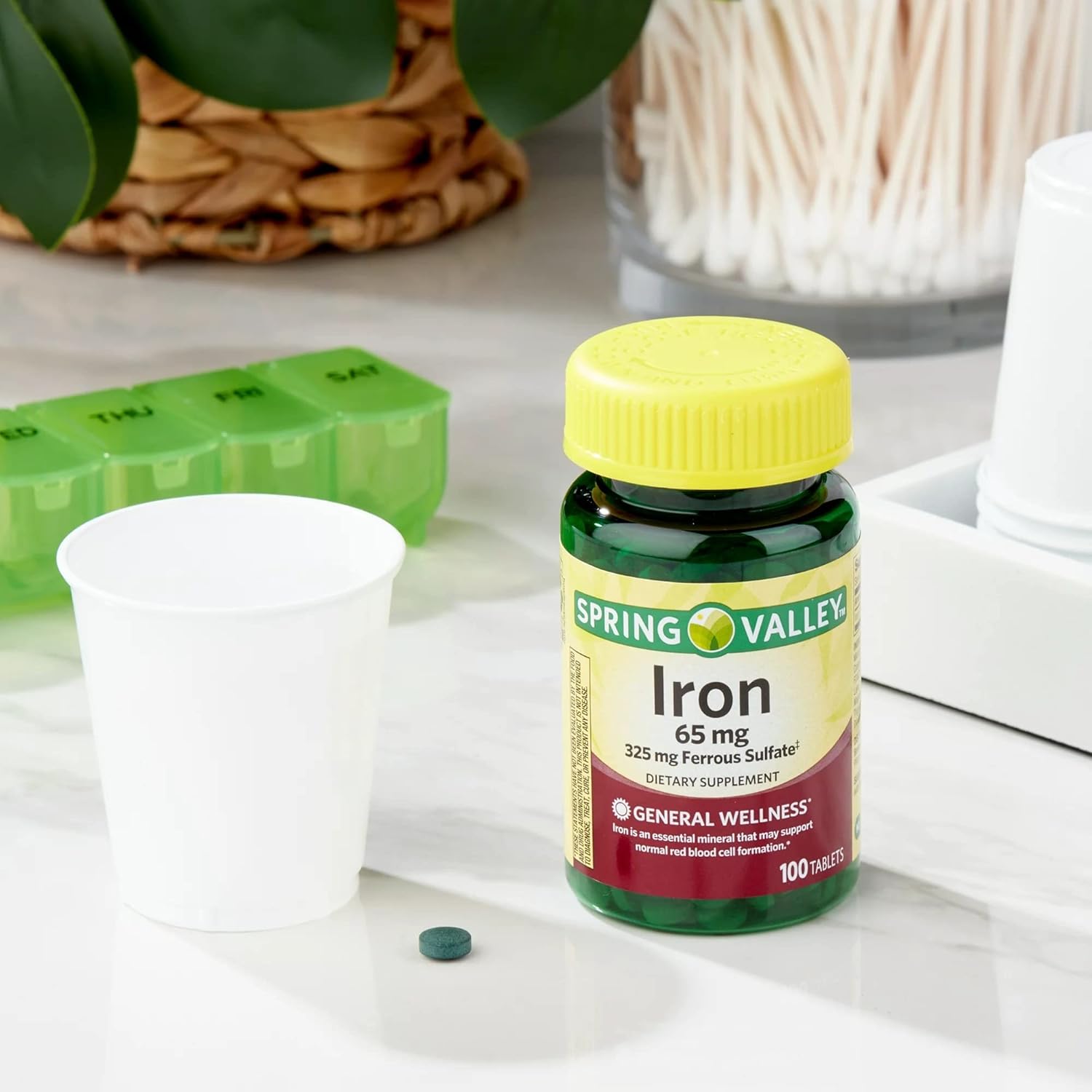 Spring Valley Iron Supplement - 65 mg, 100 Tablets for Iron Deficiency Support