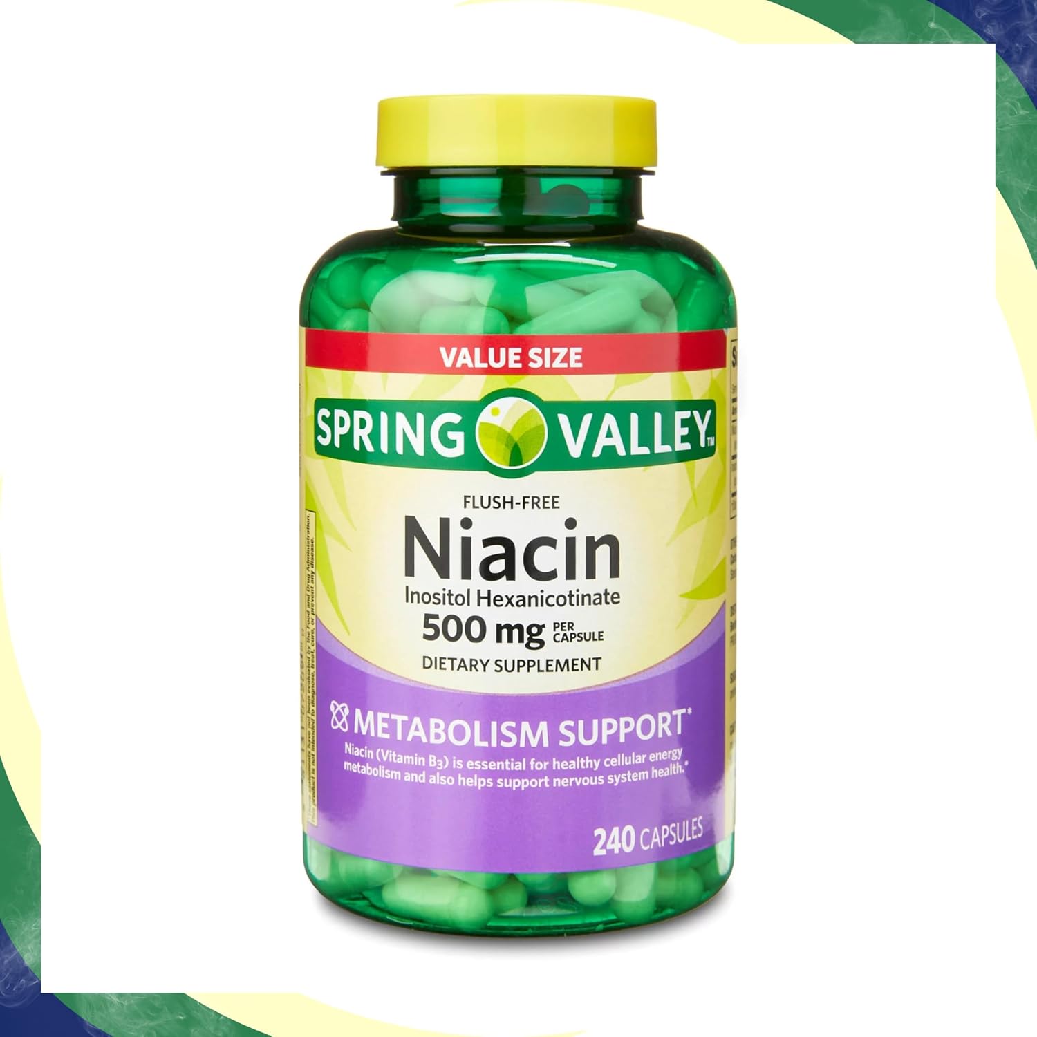 Spring Valley Vitamin B3 Niacin 500mg Flush Free Capsules 240 Count Dietary Supplement by Venancio's Shop