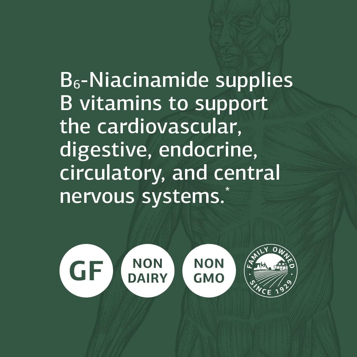 Standard Process B6-Niacinamide Supplement - Promotes Energy Metabolism, Heart Health, and Digestion - 330 Tablets with Vitamin B6, Niacin, Ascorbic Acid, Reishi Mushroom, Shiitake Mushroom, and More
