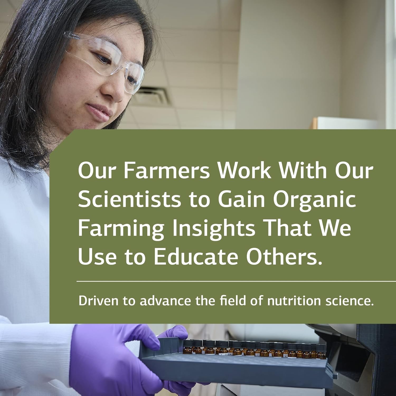 Standard Process B6-Niacinamide Supplement - Promotes Energy Metabolism, Heart Health, and Digestion - 330 Tablets with Vitamin B6, Niacin, Ascorbic Acid, Reishi Mushroom, Shiitake Mushroom, and More