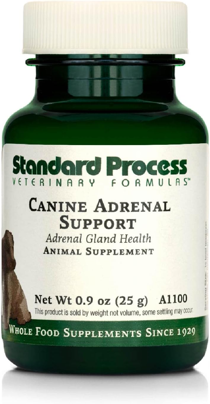 Standard Process Canine Adrenal Support Powder Supplement for Liver & Kidney Health - 25g