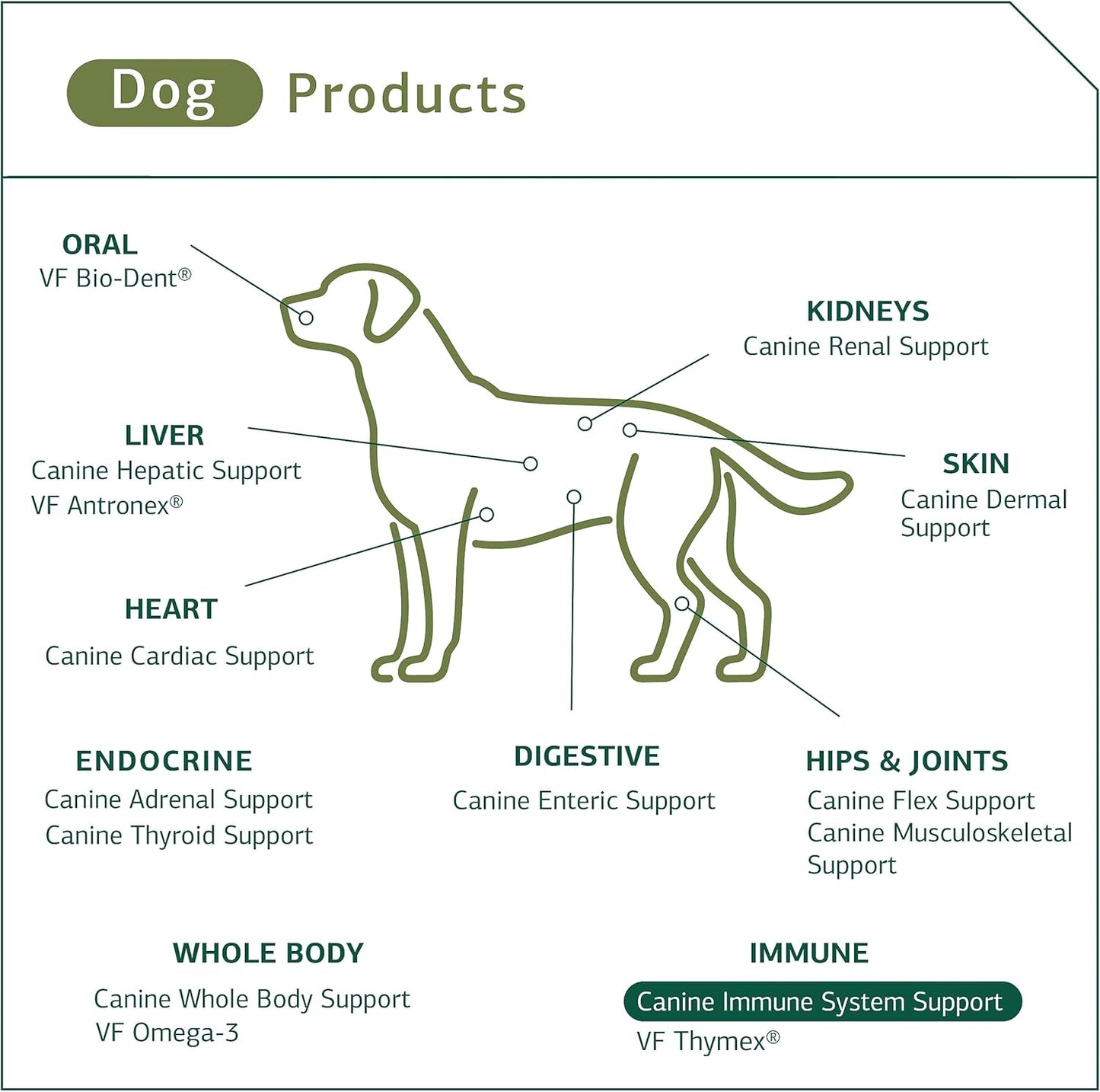 Standard Process Canine Immune System Support Powder Supplement with Zinc & Kelp - 30g - Boosts Dog's Immunity & Wellness