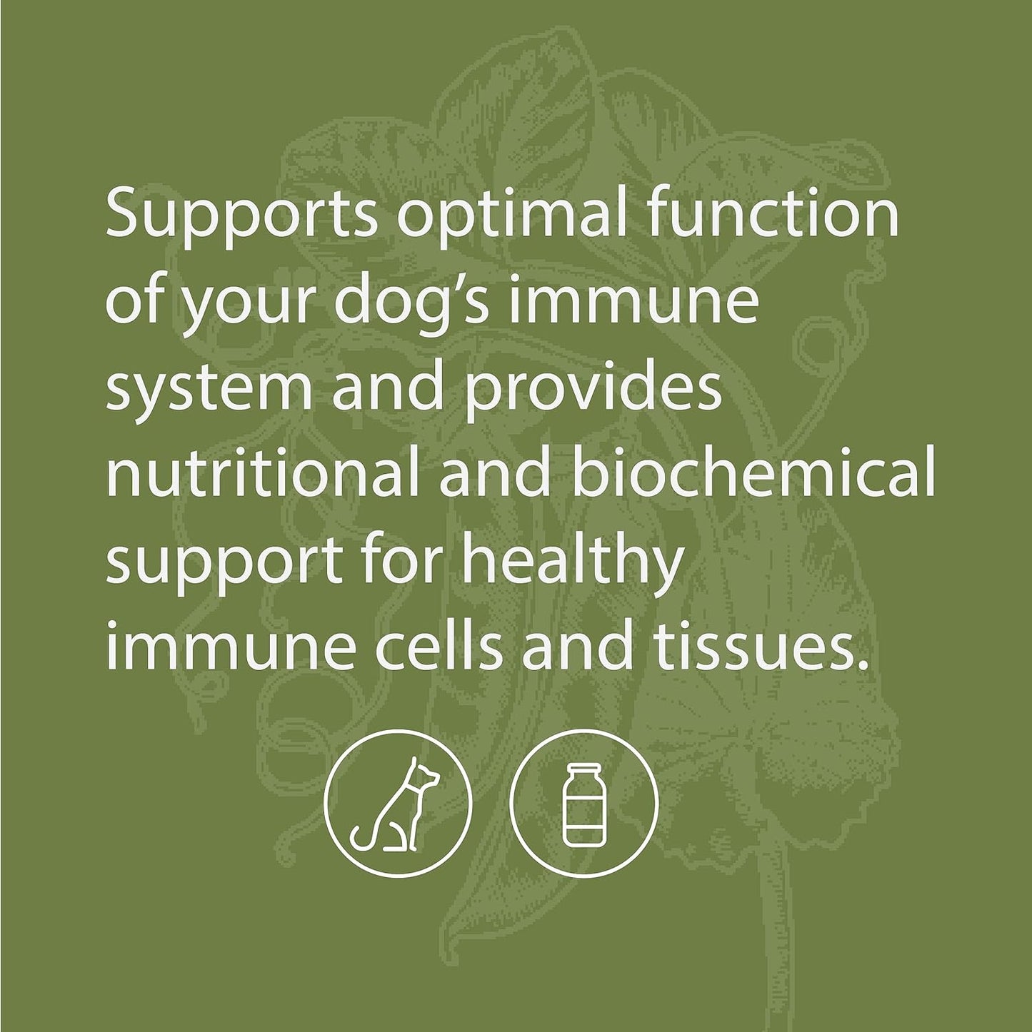 Standard Process Canine Immune System Support Powder Supplement with Zinc & Kelp - 30g - Boosts Dog's Immunity & Wellness