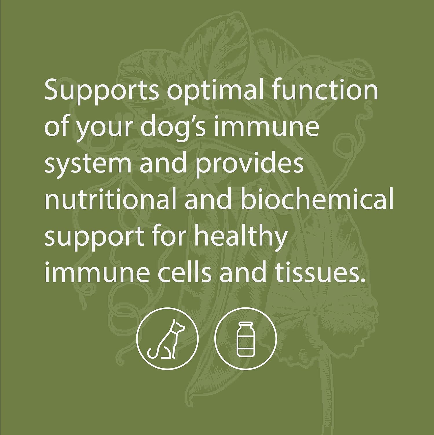 Standard Process Canine Immune System Support Powder Supplement with Zinc & Kelp - 30g - Boosts Dog's Immunity & Wellness