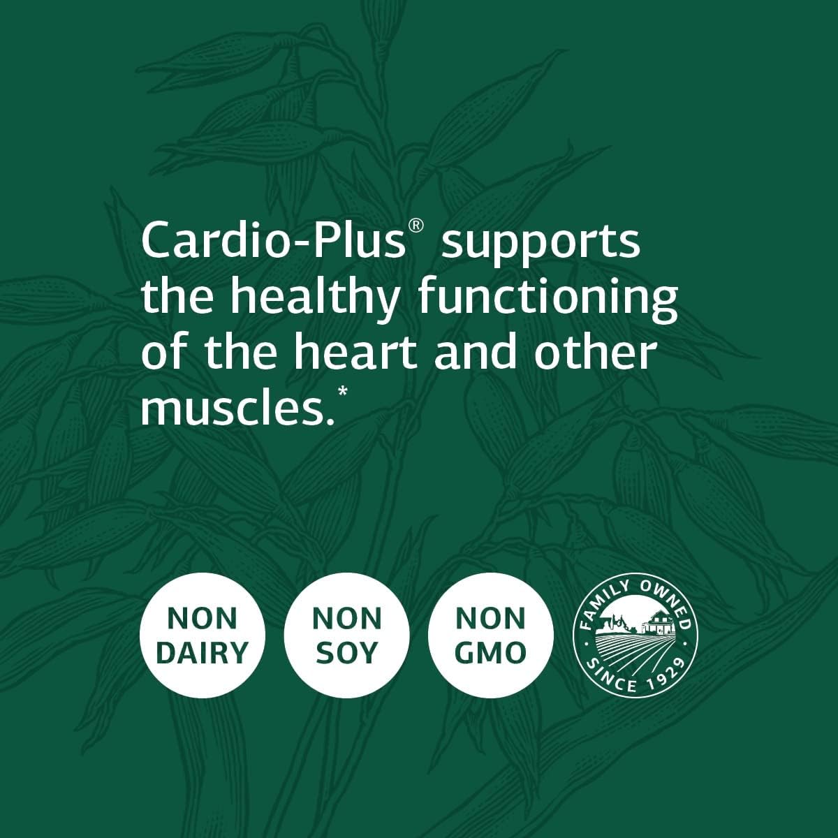 Standard Process Cardio-Plus: Antioxidant Heart Health Supplement with Vitamin B6, Niacin, and Riboflavin - Supports Circulation and Energy Metabolism - 90 Tablets
