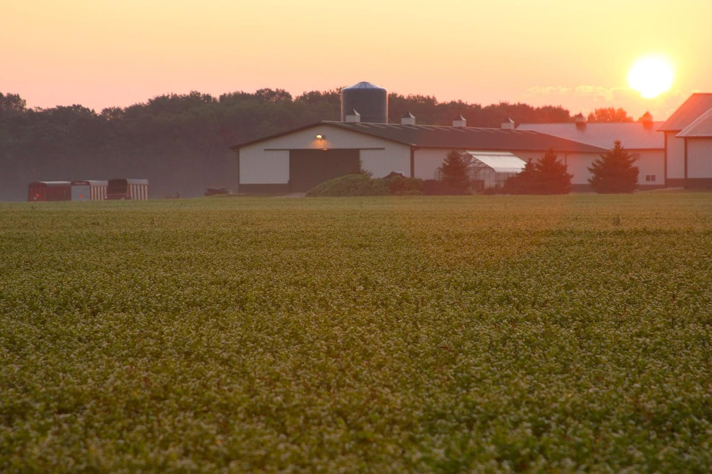 Standard Process Cataplex F - Whole Food Supplement for Thyroid Support, Metabolism, Skin, and Hair Health - 90 Tablets