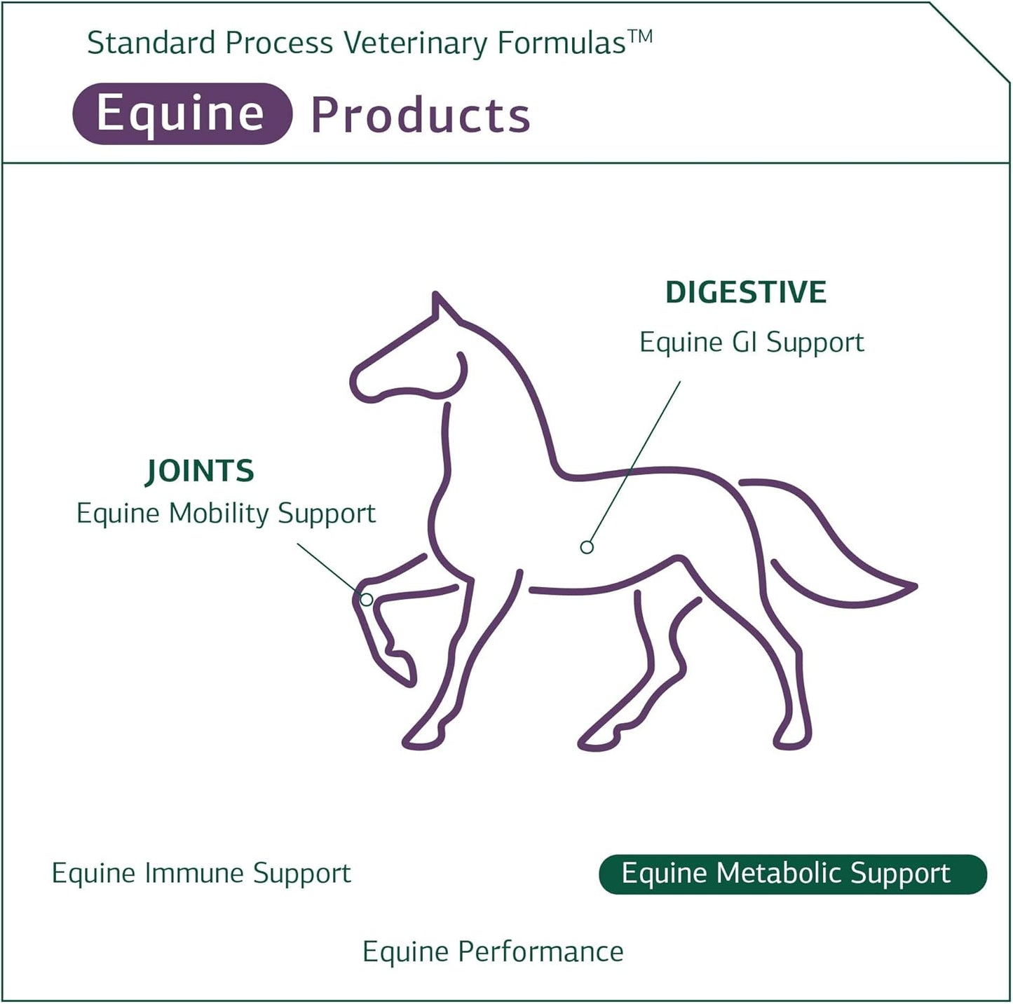 Standard Process Equine Metabolic Support Powder - Whole Food Horse Supplement with Green Tea & Cayenne Pepper - 1134 g