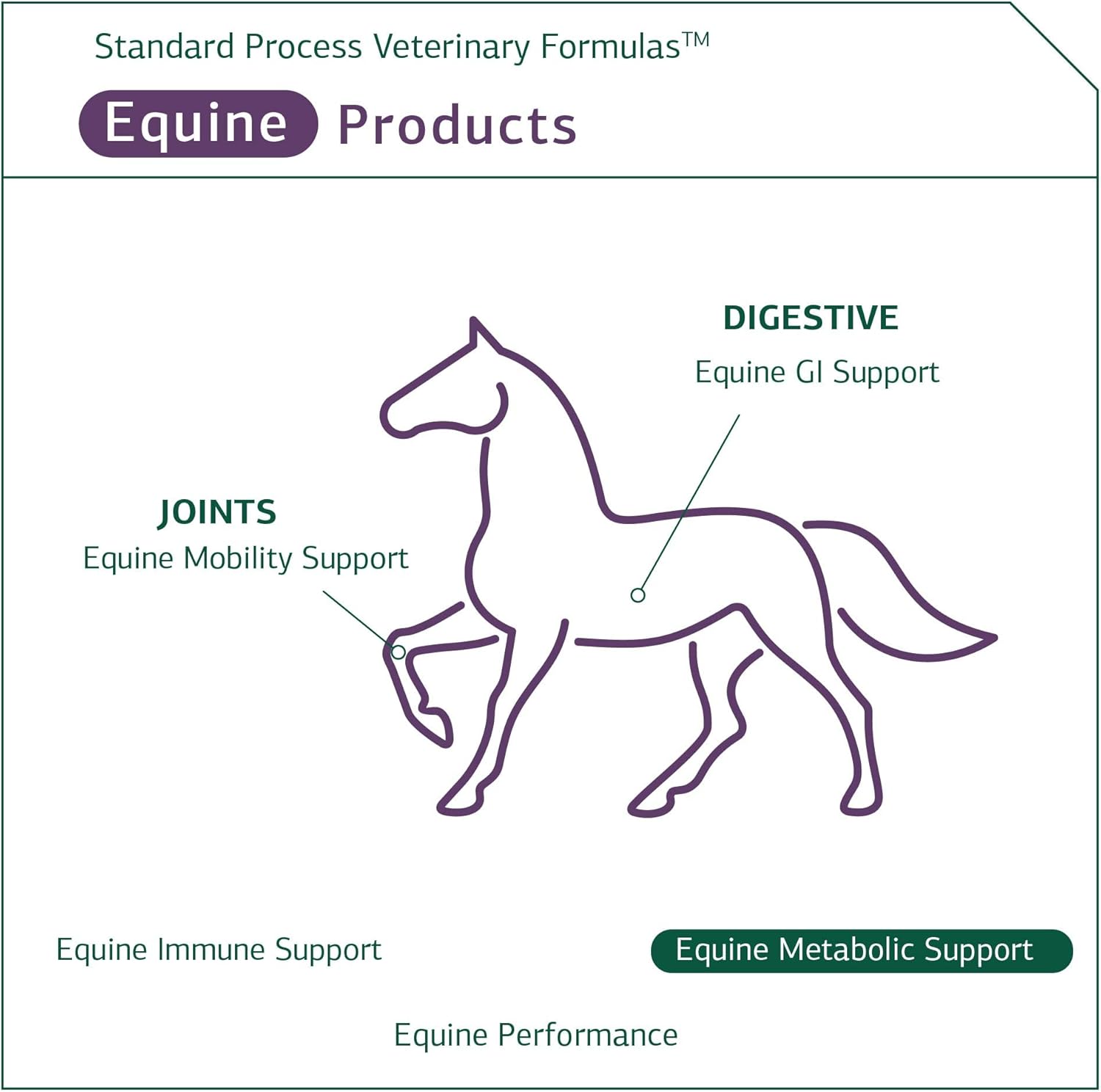 Standard Process Equine Metabolic Support Powder - Whole Food Horse Supplement with Green Tea & Cayenne Pepper - 1134 g