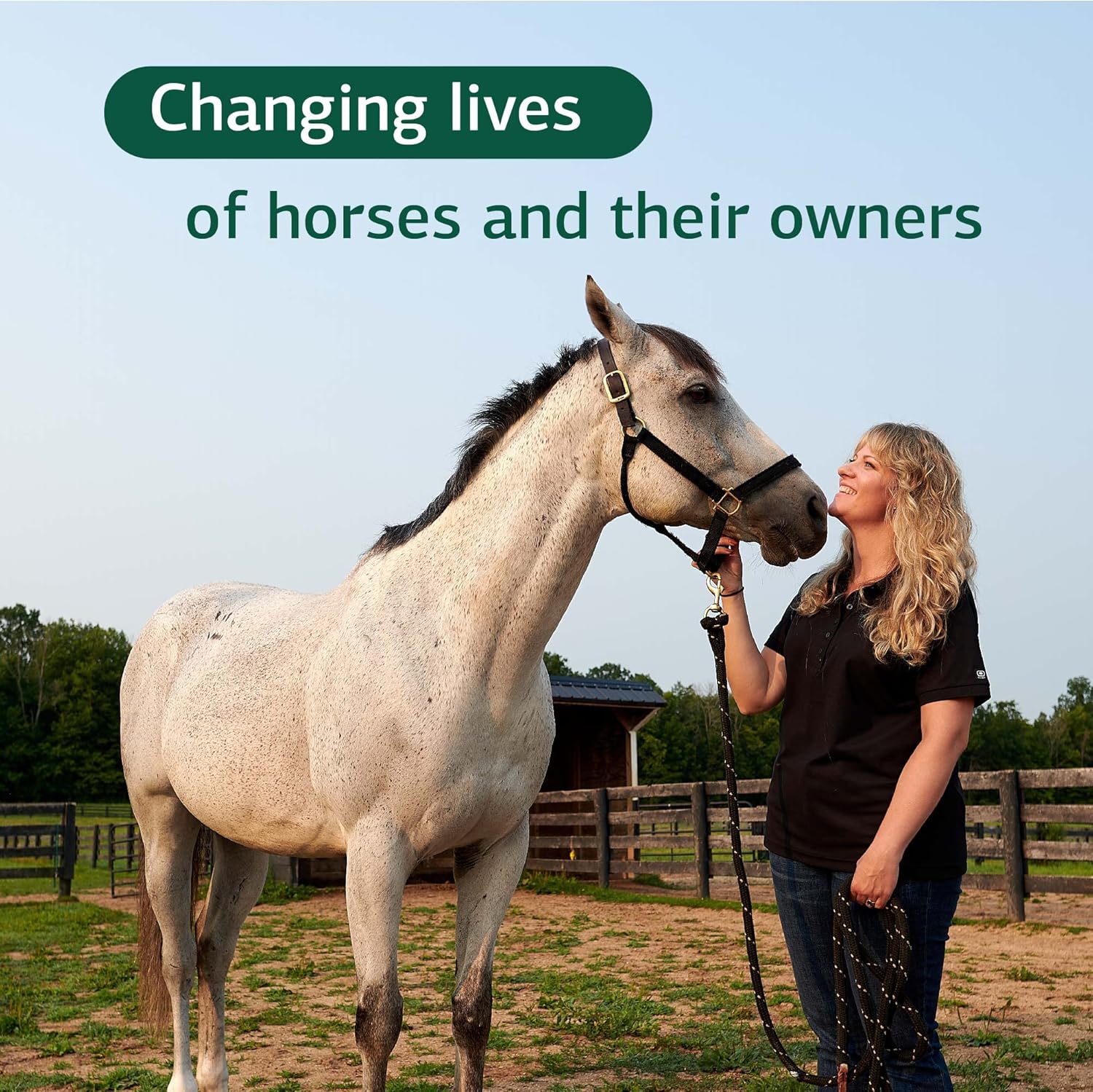 Standard Process Equine Metabolic Support Powder - Whole Food Horse Supplement with Green Tea & Cayenne Pepper - 1134 g