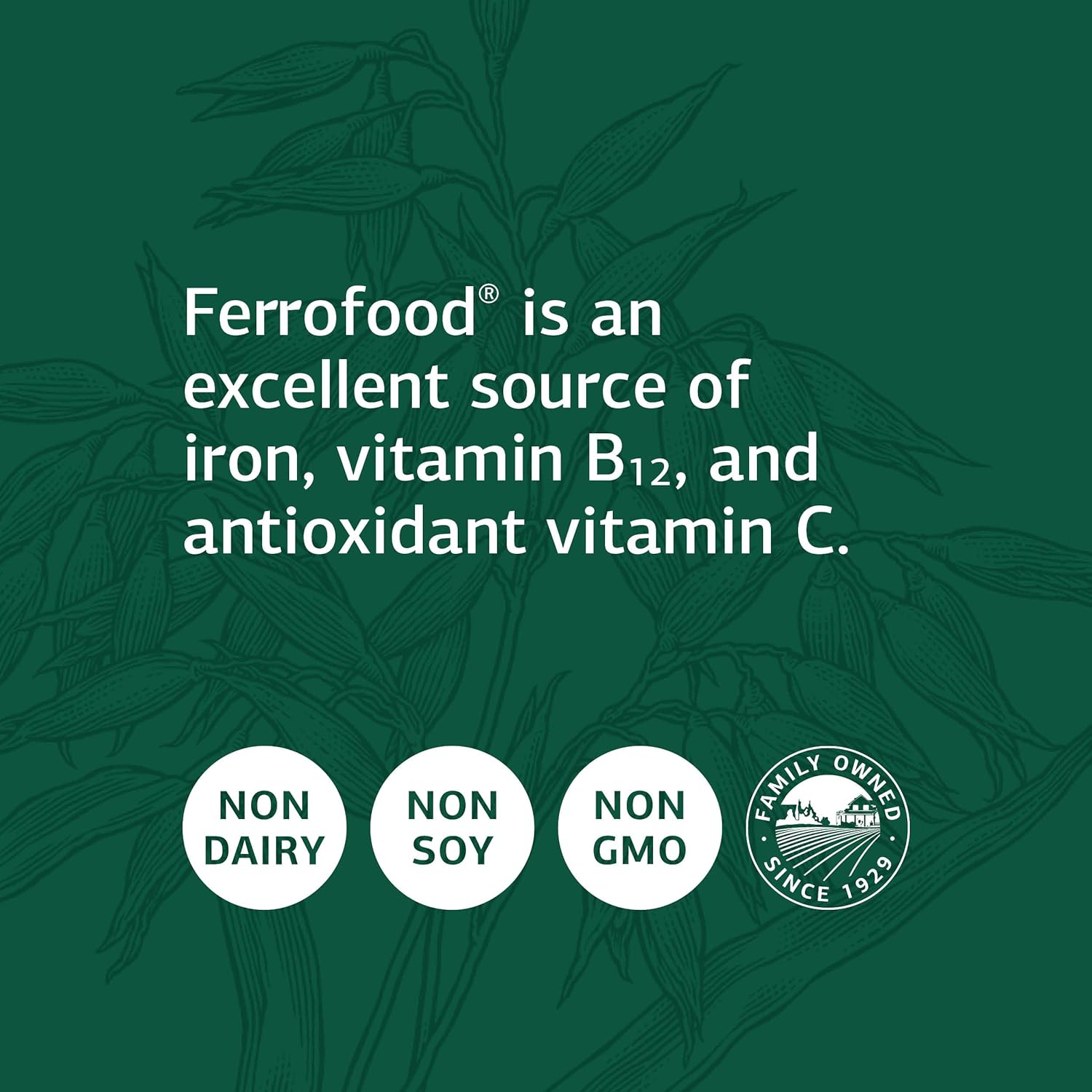 Standard Process Ferrofood Capsules - Antioxidant-Rich Whole Food for Healthy Blood & Hemoglobin - Includes Cyanocobalamin, Acerola, Shiitake, Rice Bran, Organic Carrot, Alfalfa, Spanish Moss - 150 ct.