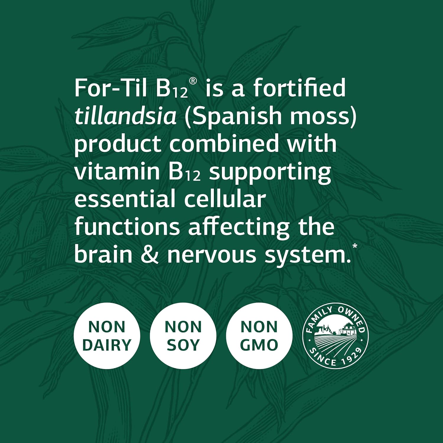 Standard Process Inc. Whole Food Vitality and Immune Support Capsules with B12, Tillandsia, Calcium Lactate, Ascorbic Acid - 90 Count