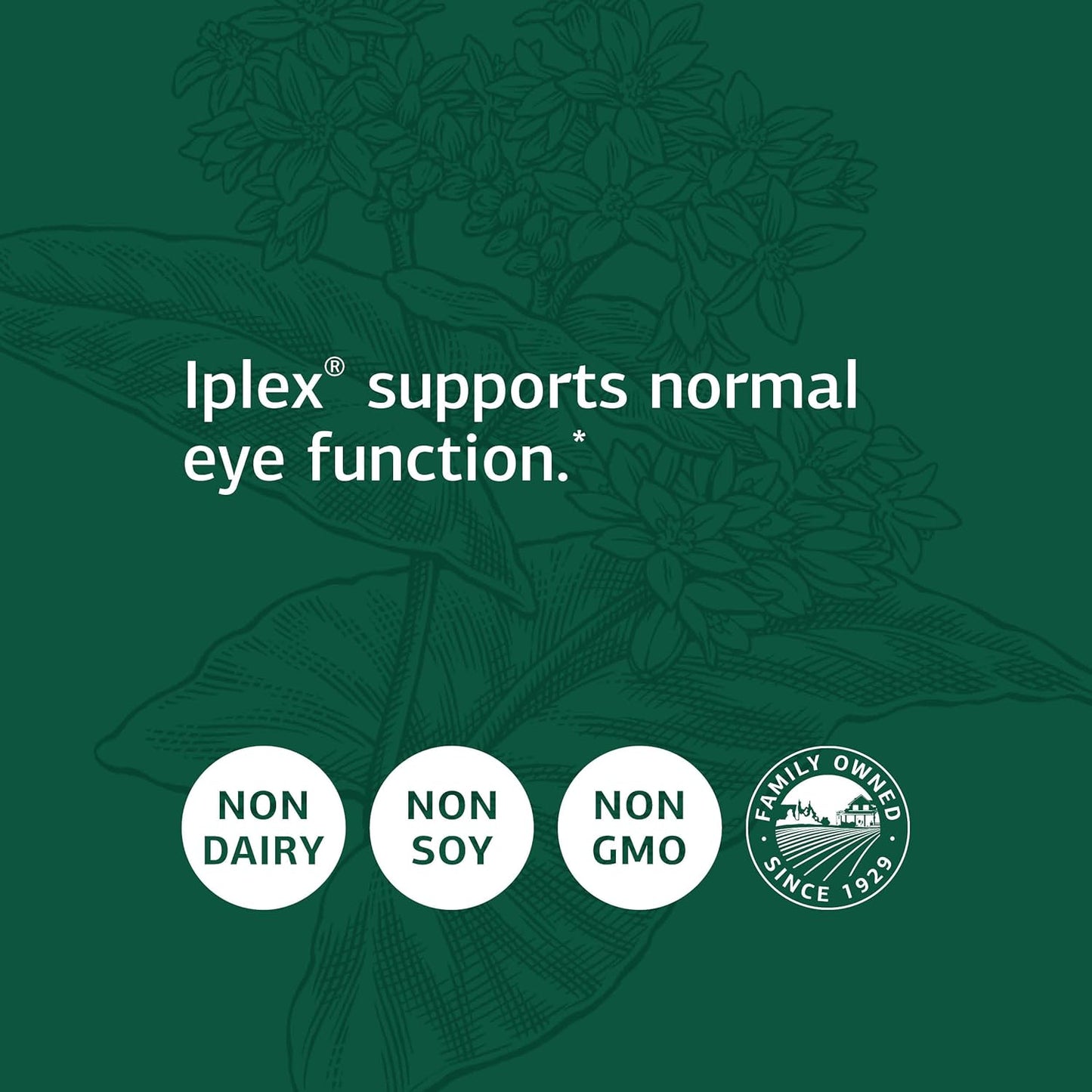 Standard Process Iplex: Whole Food Supplement for Vascular and Eye Health - 150 Capsules