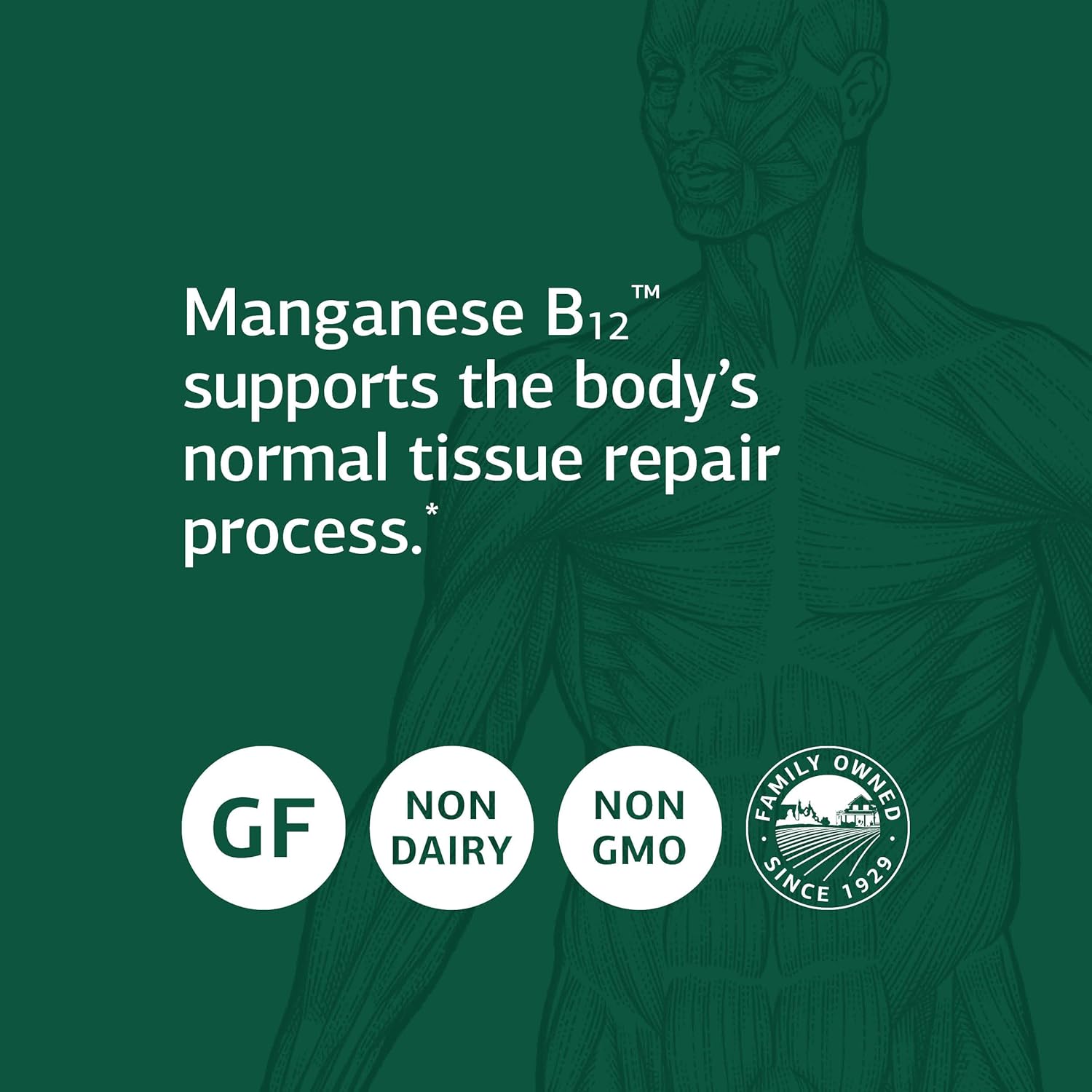 Standard Process Manganese B12 Tablets - Whole Food Hemoglobin and Antioxidant Supplement