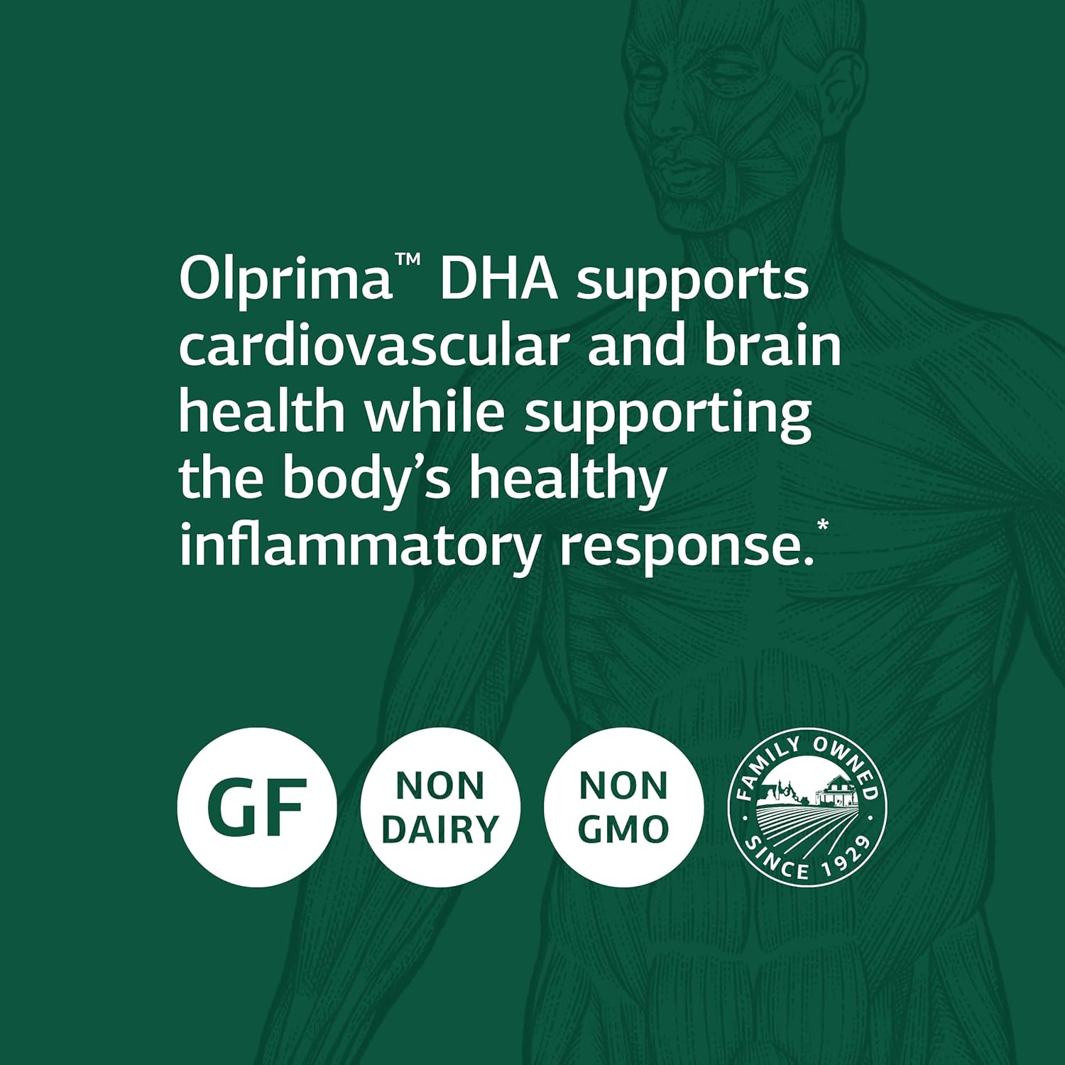Standard Process Olprima DHA Softgels - Whole Food Cognitive & Heart Health Support with Tuna Fish Oil & Astaxanthin - 60ct Gluten Free