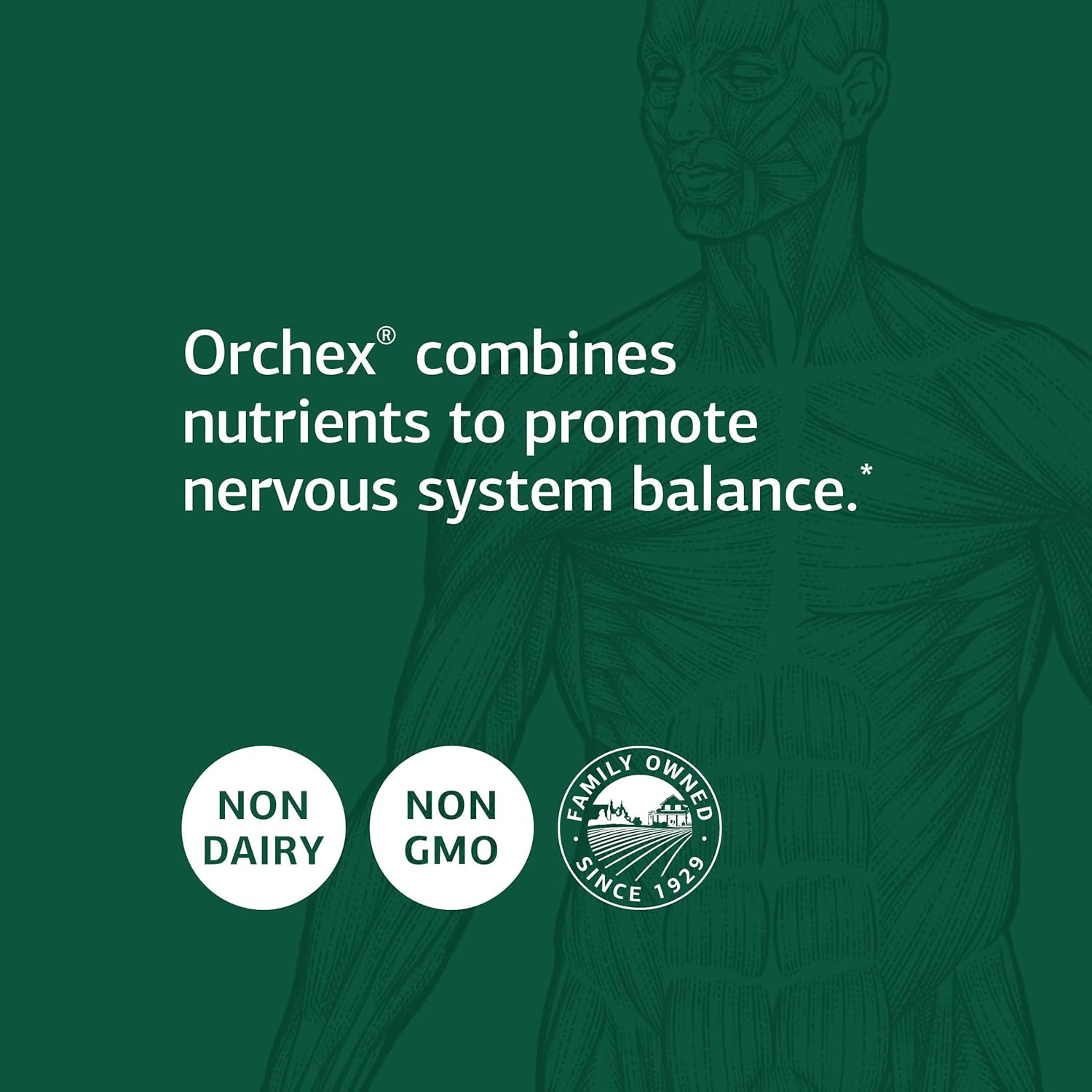 Standard Process Orchex - Whole Food Nervous System Supplement for Cholesterol, Mental Clarity, and Emotional Support - 90 Capsules