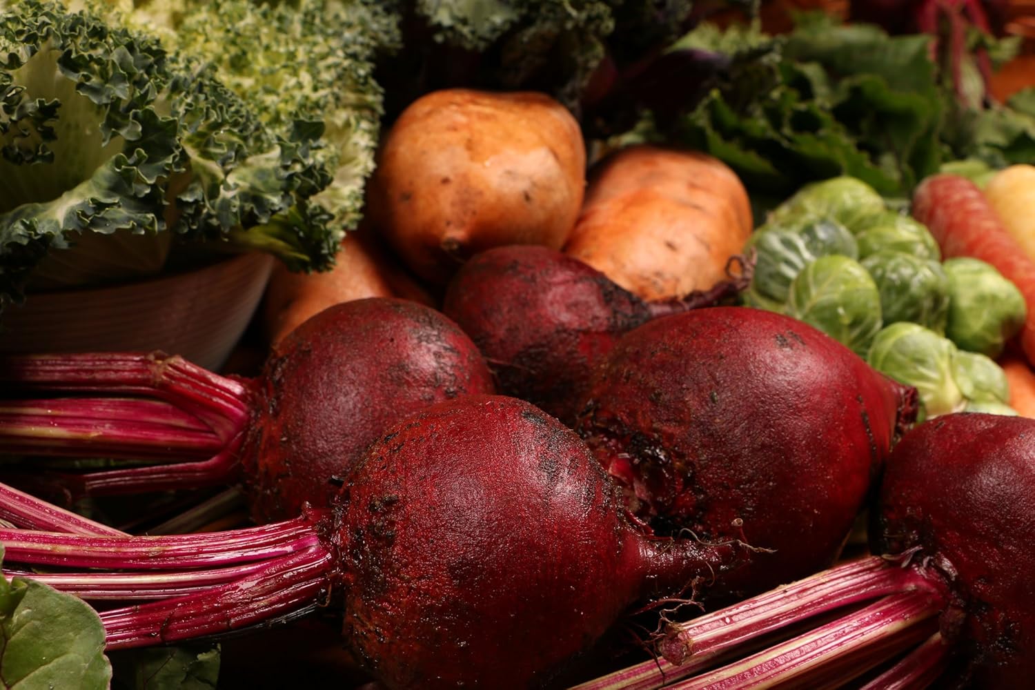 Standard Process Purification Kit for Detox & Liver Support - Includes SP Complete, Whole Food Fiber, Milk Thistle, Whey Protein, Choline, and Calcium