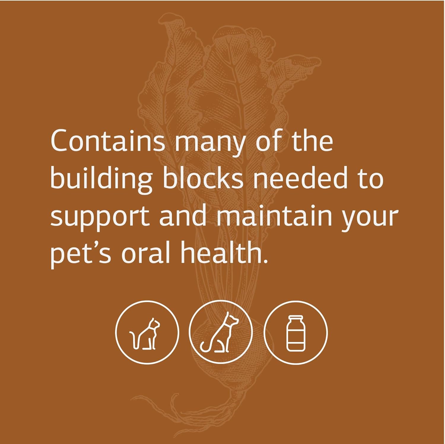Standard Process VF Bio-Dent for Pets - Bone Growth & Oral Health Supplement - Nutritional Support for Cats & Dogs - 90 Tablets