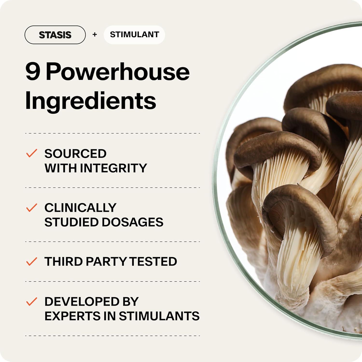 Stasis Daytime Energy and Focus Supplement - All-Day Energy Boost with Ashwagandha and L Theanine - No Crash Formula for Enhanced Brain Support (25 Servings)