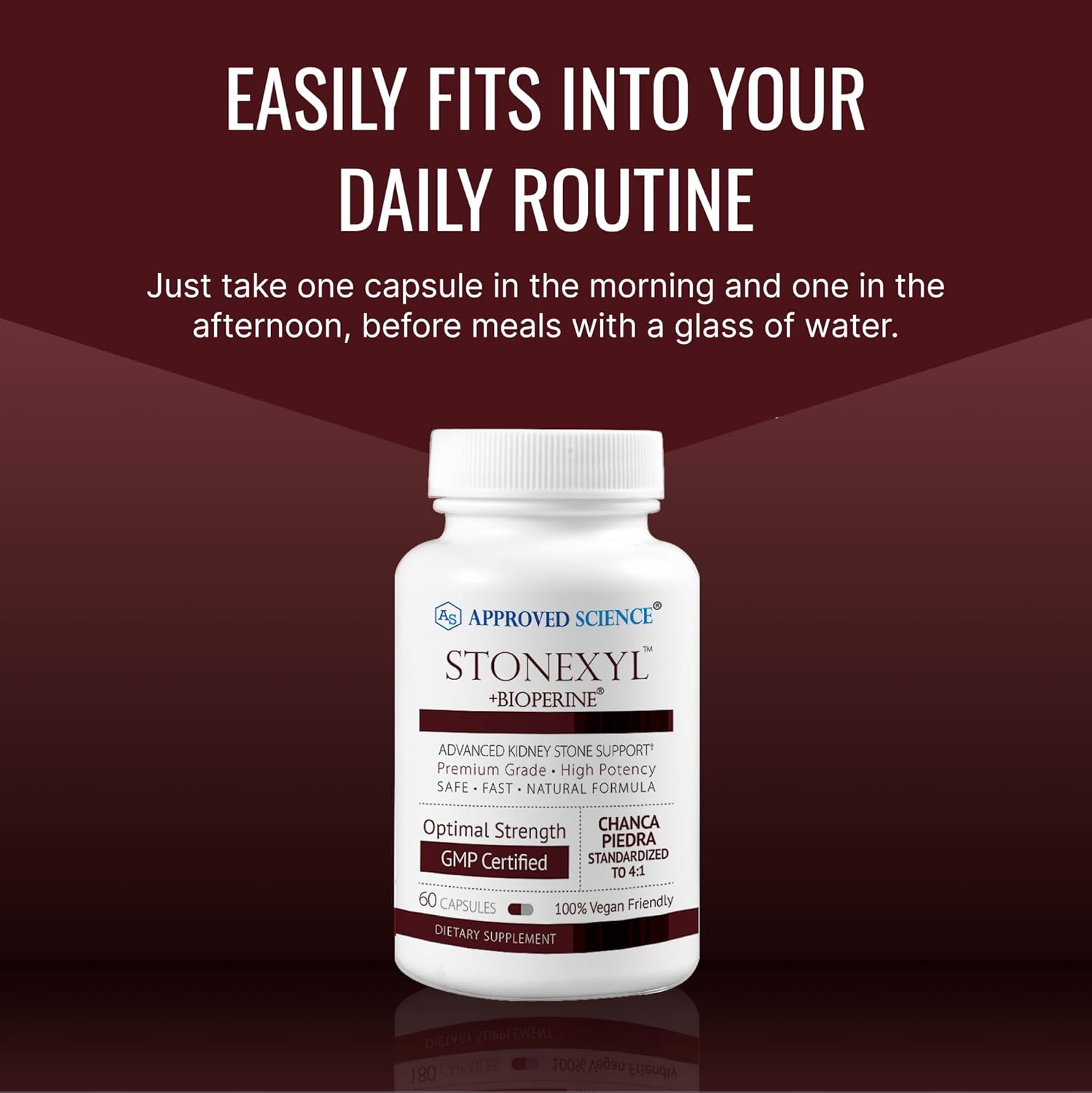 Stonexyl Kidney Stone Support Capsules - 60 Count - Chanca Piedra - High Absorption - Vegan Formula - 30 Day Supply