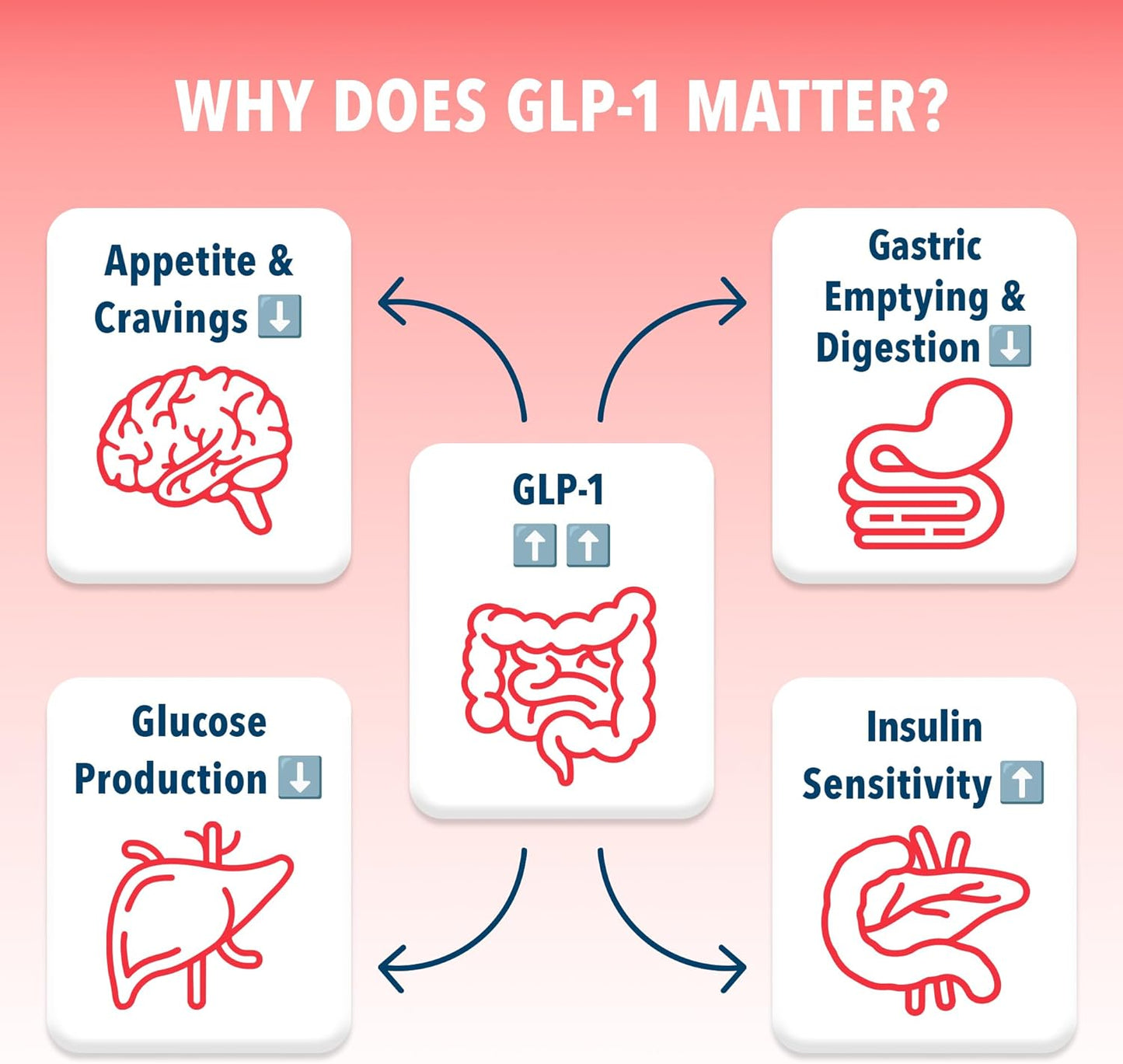 Strawberry Kiwi GLP-1 Booster Drink Mix - Carb Blocking & Craving Control - Sugar-Free Keto Support for Longer Fullness & Digestion
