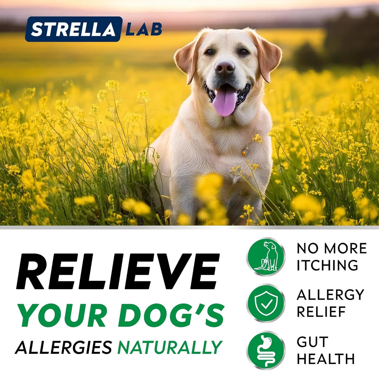 StrellaLab Dog Allergy Relief Chews with Omega 3: Skin & Coat Immune Support Supplement - 180 Ct Made in USA