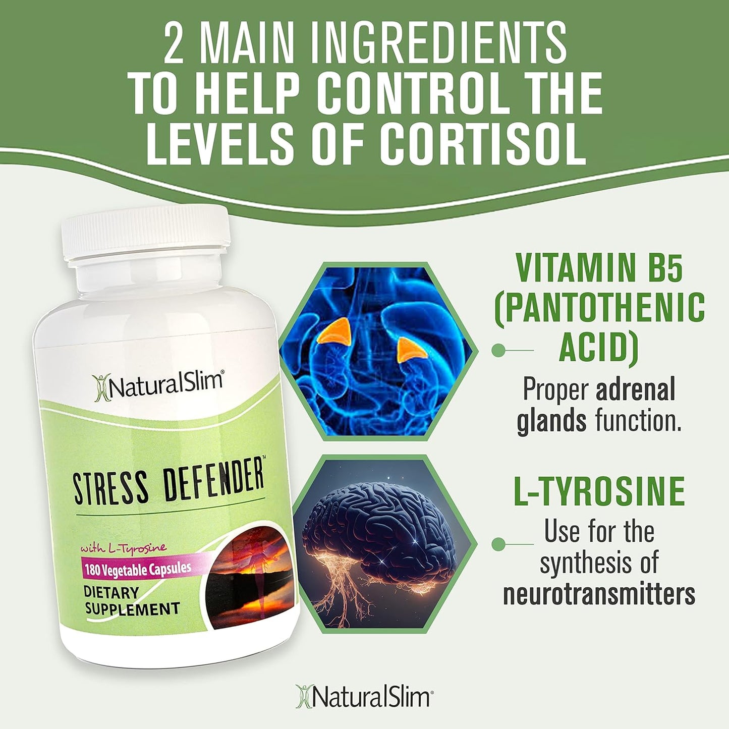 Stress Defender L Tyrosine & Vitamin B5 Natural Supplements - Energy & Focus Support - 180 Capsules (2 Pack)