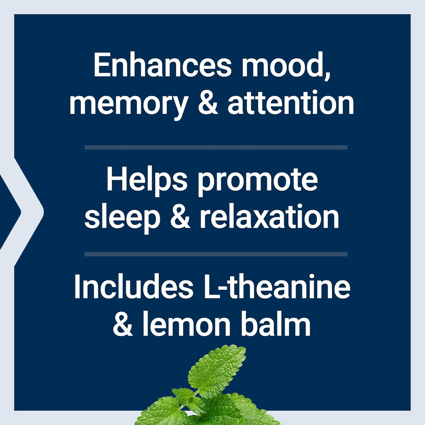 Stress Relief Supplement with Lemon Balm Extract and L-Theanine - Gluten-Free and Non-GMO Vegetarian Capsules, 30 Count