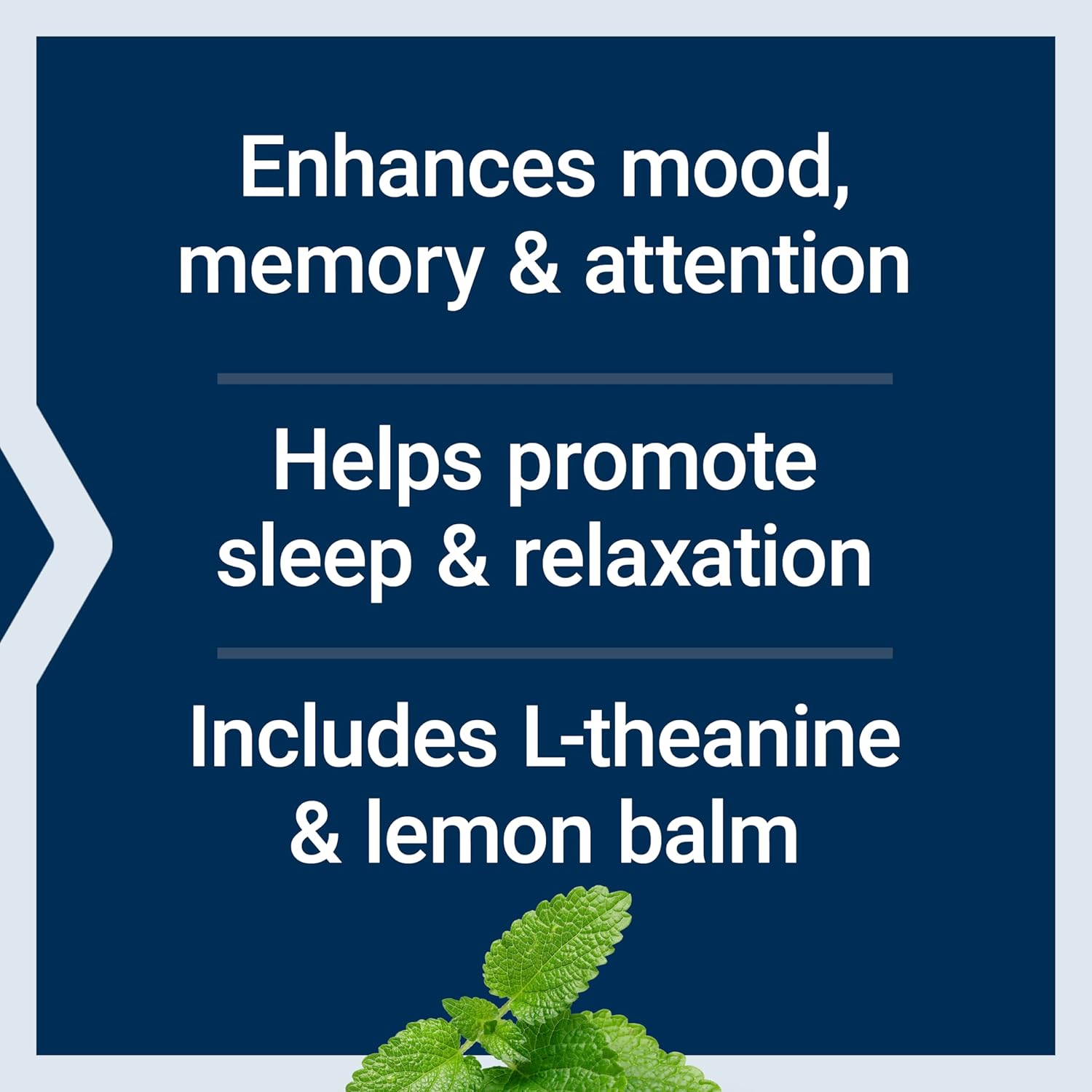 Stress Relief Supplement with Lemon Balm Extract and L-Theanine - Gluten-Free and Non-GMO Vegetarian Capsules, 30 Count