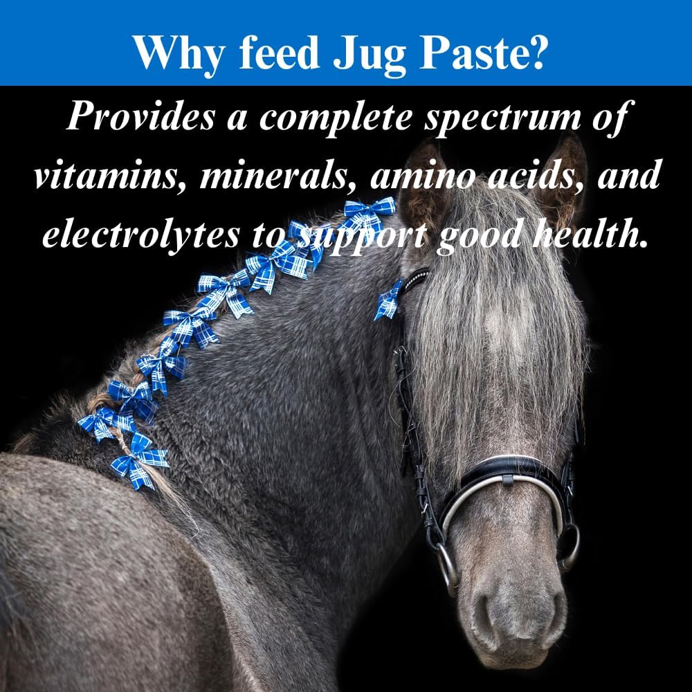 SU-PER Jug Paste for Performance Horses - Enhances Energy, Stamina, and Performance - Horse Supplement with Vitamins, Minerals, Amino Acids, and Electrolytes - 80 CC, Pack of 2