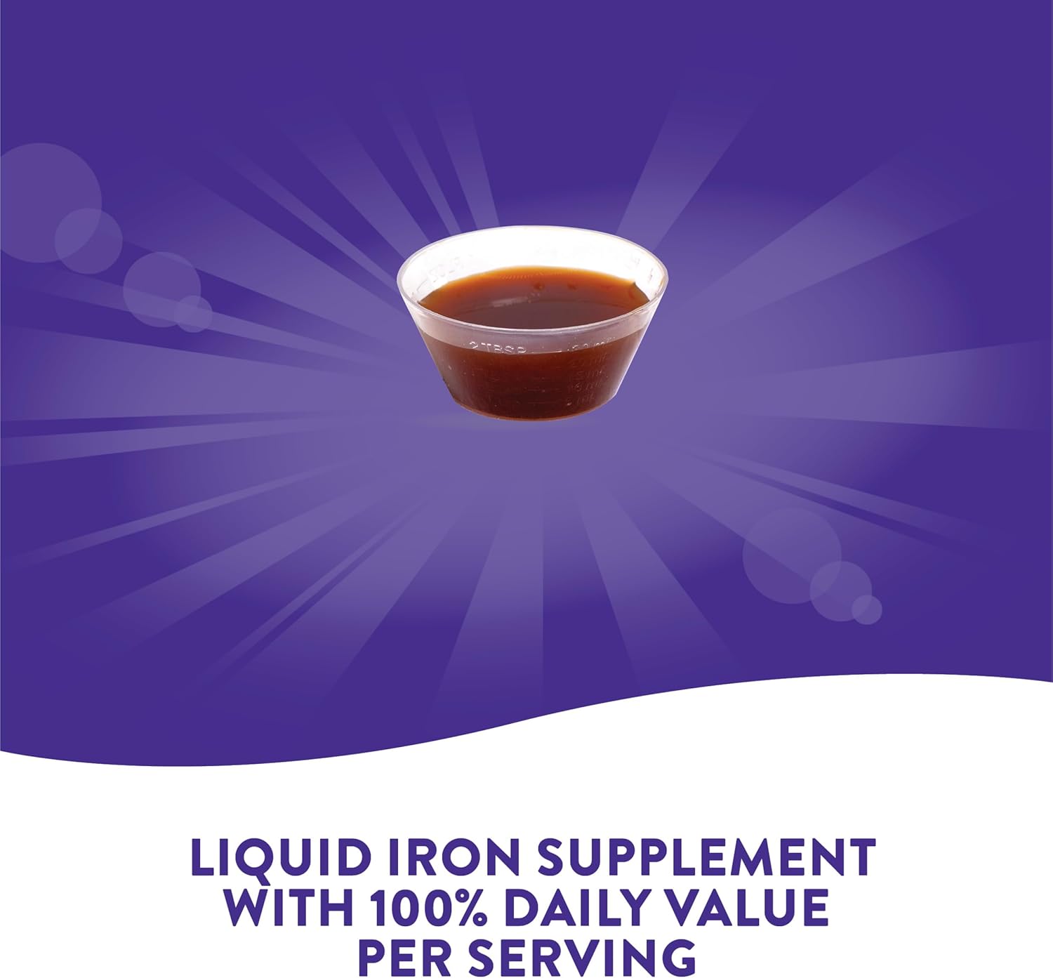 Sugar-Free Berry Flavored Liquid Iron Supplement - Daily Iron Value - 16 Fl. Oz. (Pack of 2) by Nature's Way