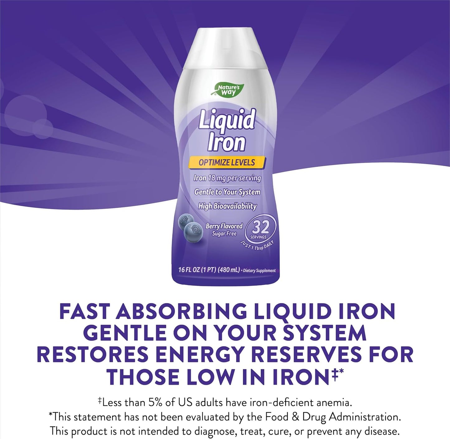 Sugar-Free Berry Flavored Liquid Iron Supplement - Daily Iron Value - 16 Fl. Oz. (Pack of 2) by Nature's Way