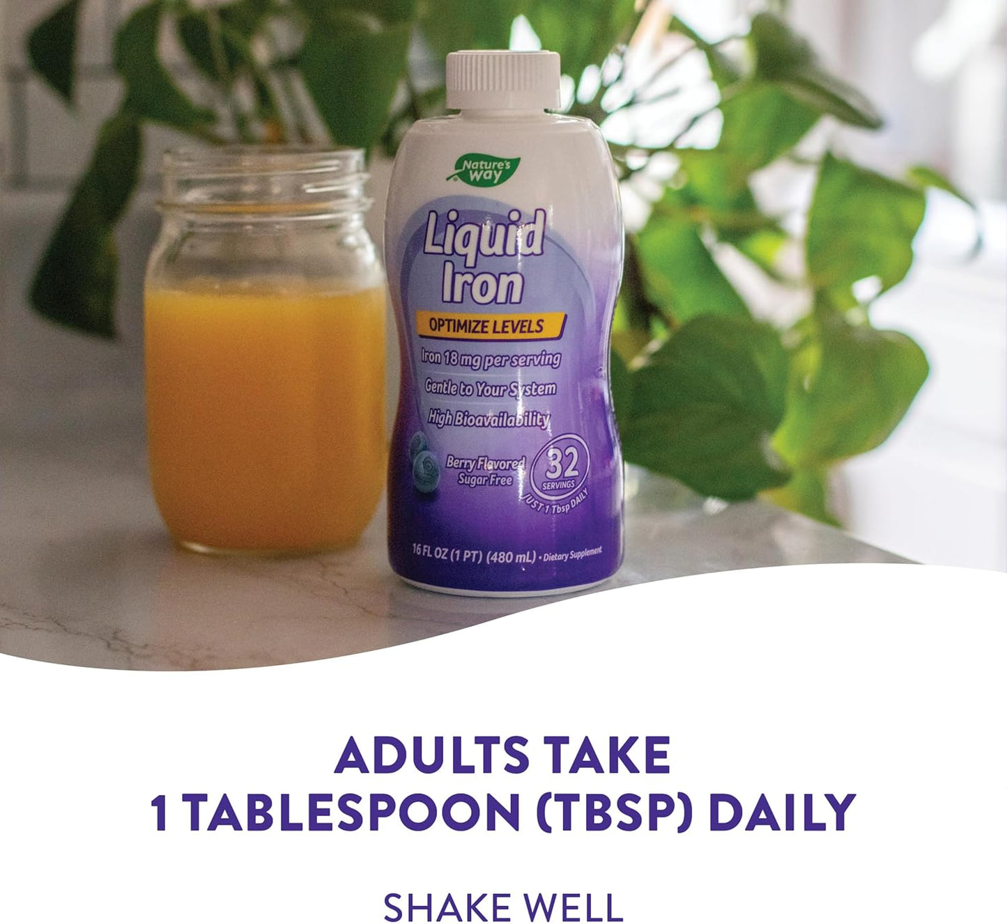 Sugar-Free Berry Flavored Liquid Iron Supplement - Daily Iron Value - 16 Fl. Oz. (Pack of 2) by Nature's Way