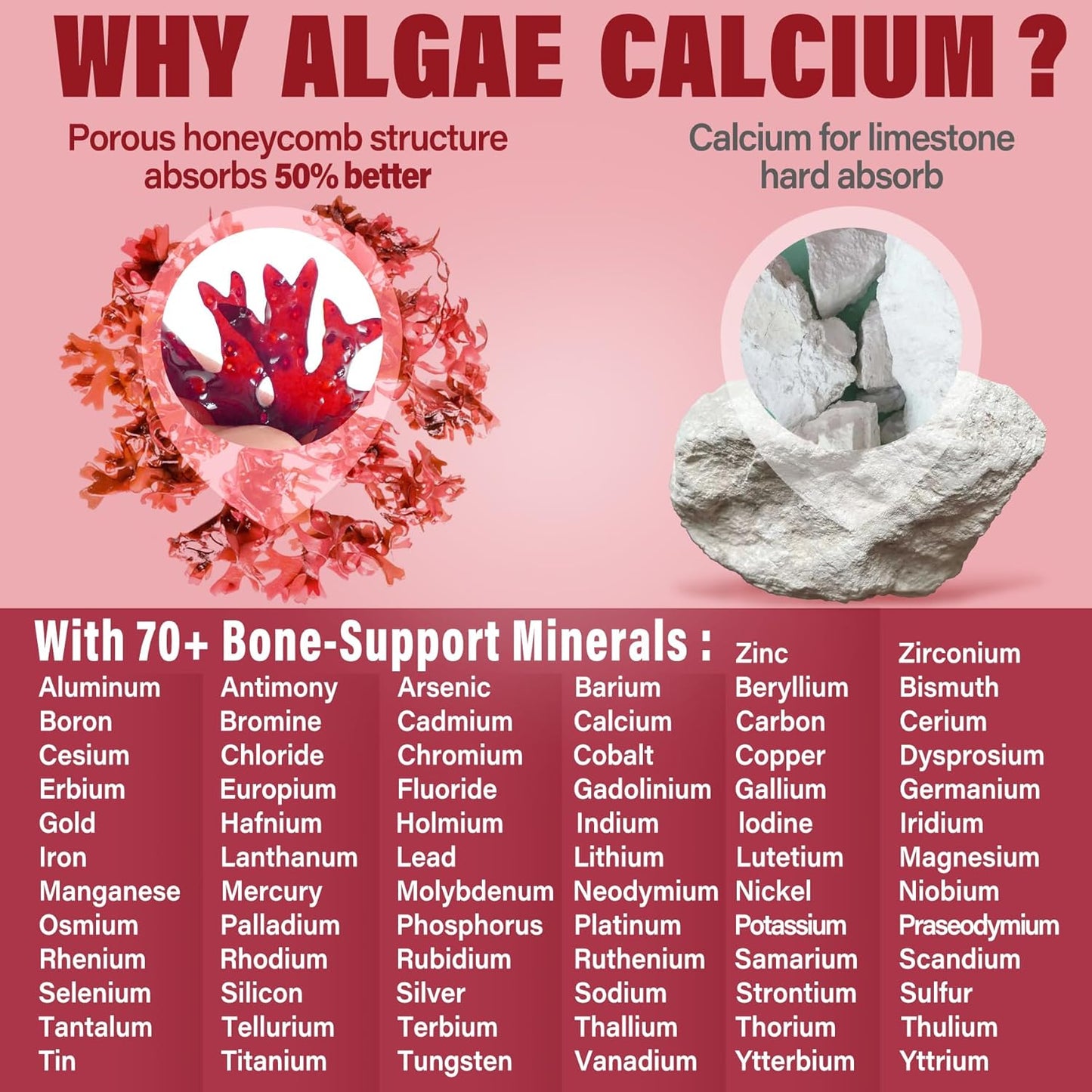 Sugar Free Calcium Magnesium Zinc Gummies with Algae Calcium & D3 | Supports Bone Health, Muscle Function & Nerve | 60 Ct