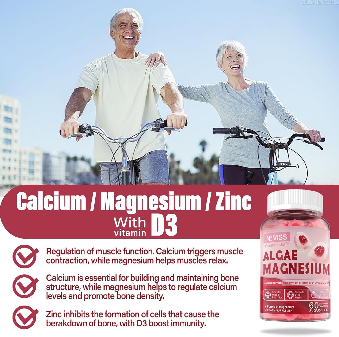 Sugar Free Calcium Magnesium Zinc Gummies with Algae Calcium & D3 | Supports Bone Health, Muscle Function & Nerve | 60 Ct
