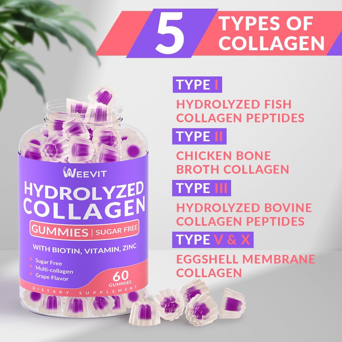 Sugar-Free Collagen Gummies for Women with Biotin Vitamin C D B12 - Hydrolyzed Collagen Peptide Supplement for Immune, Digestion, Skin, Nails, Hair