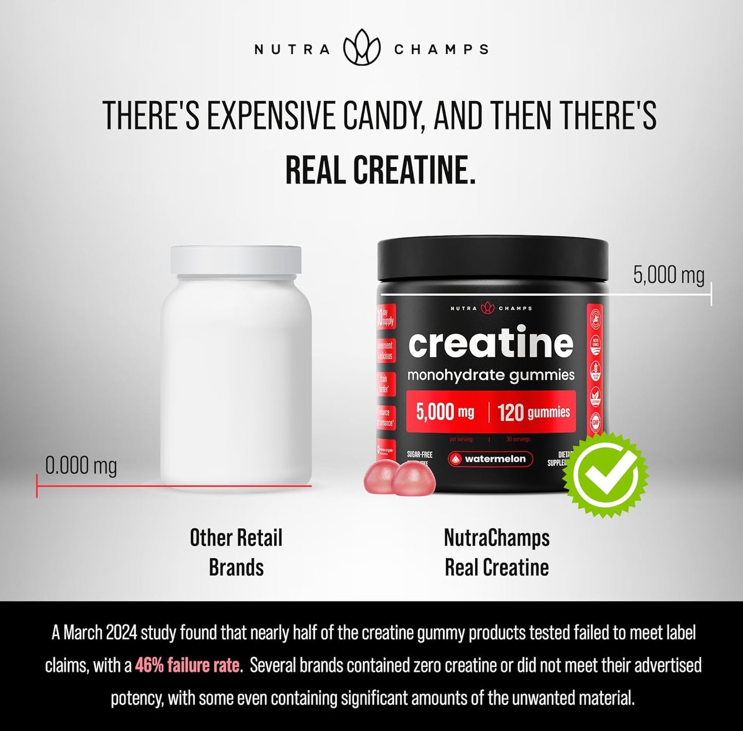 Sugar Free Creatine Gummies for Men & Women - 120 Chewable Monohydrate Gummies - Supports Muscle Recovery & Workout Performance